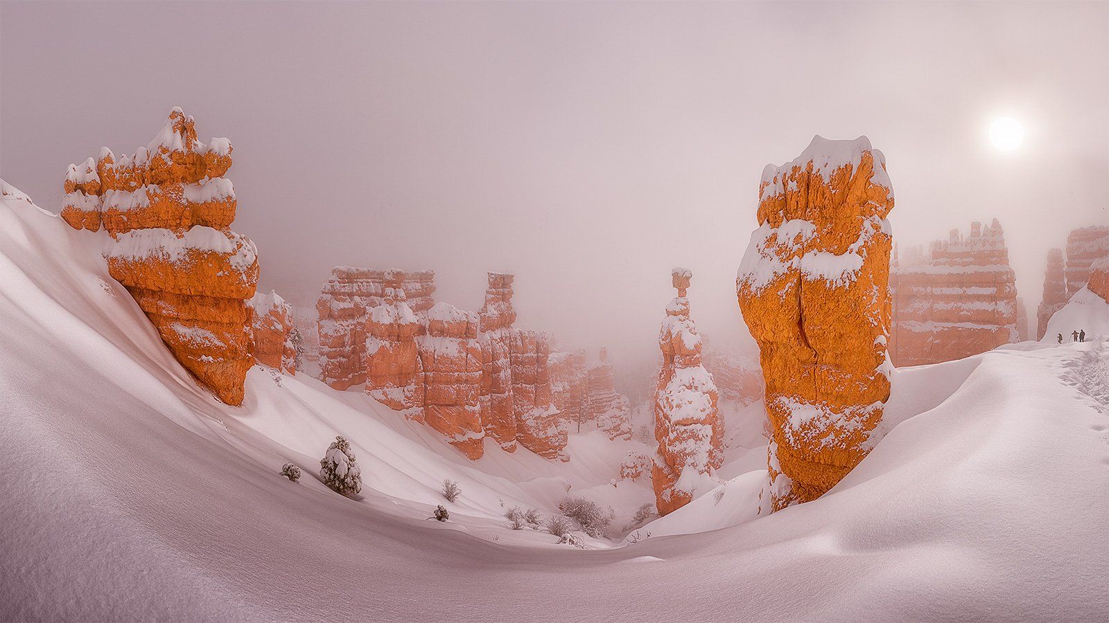 Bryce Canyon, Дмитрий Титов
