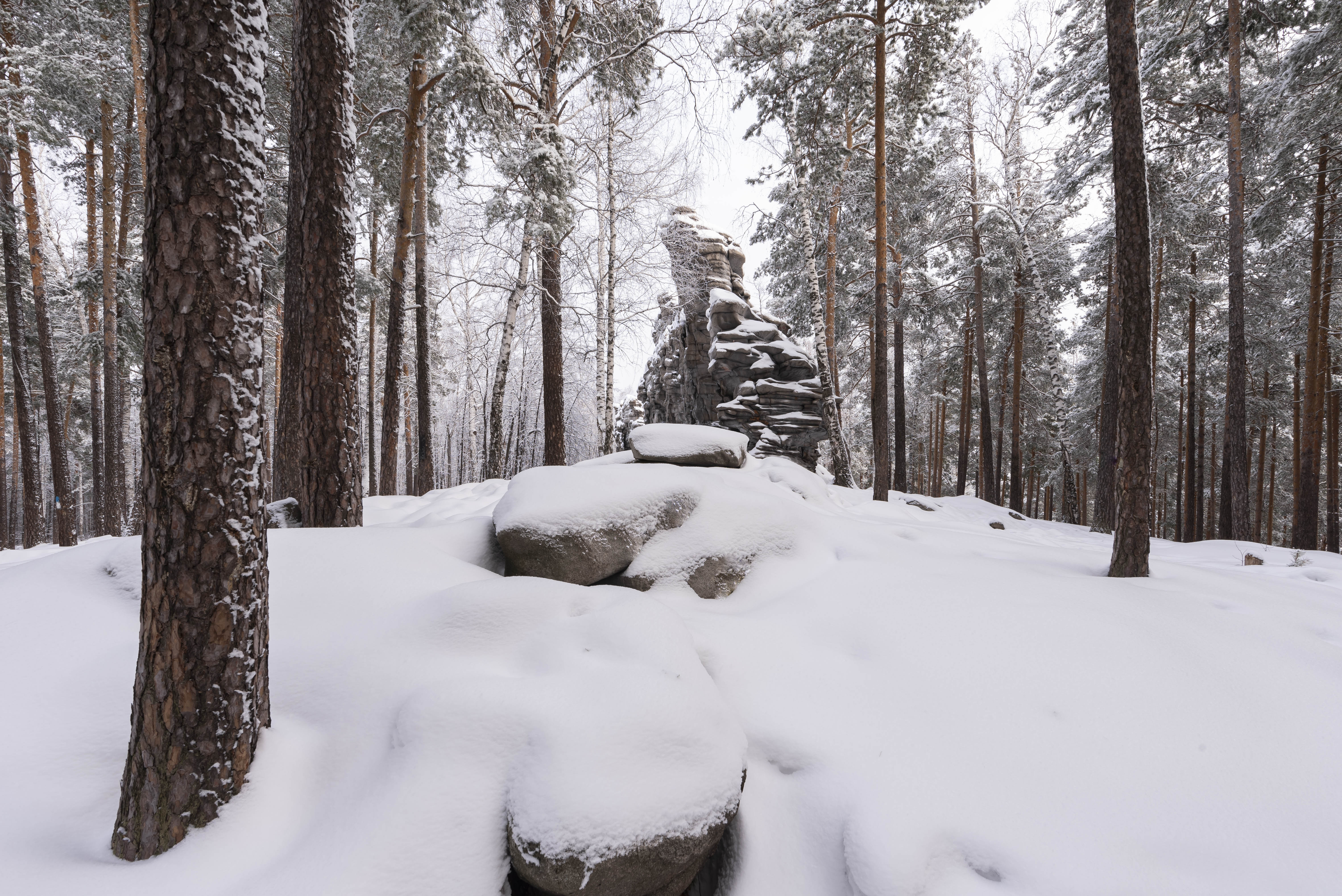 , Ватрушкин Максим