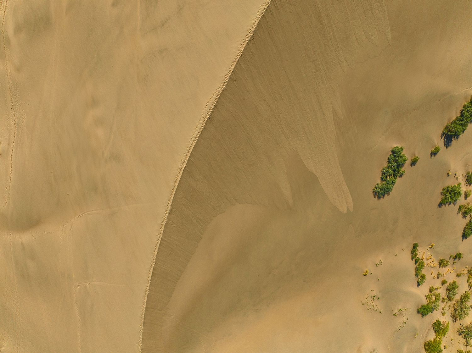 бархан, Алтын Эмель, национальный парк, Yelena Shander