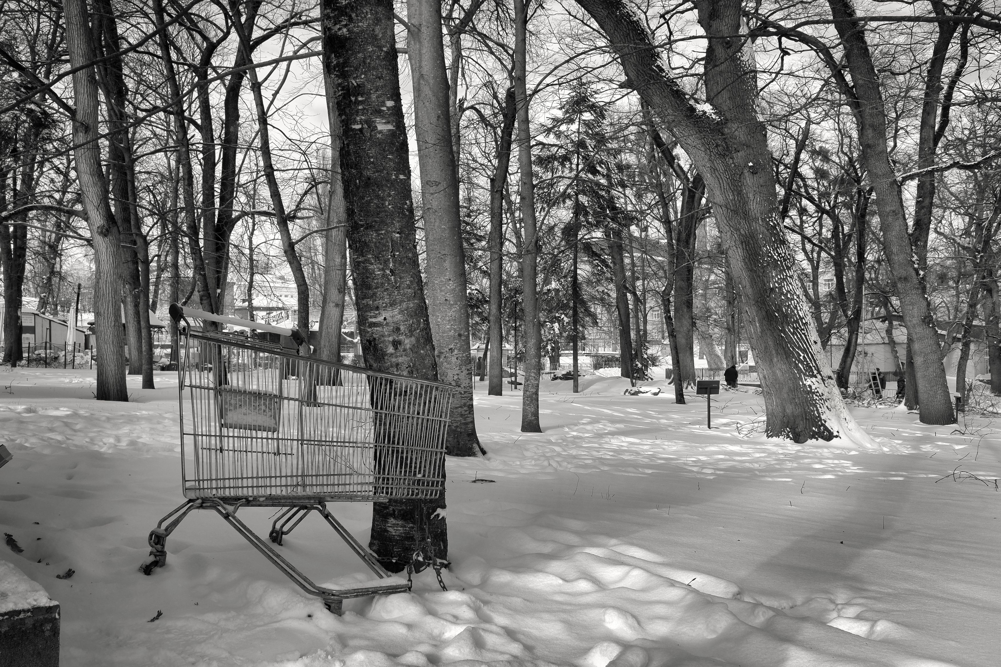 корзина, пустота, покупки, Зорин Миша