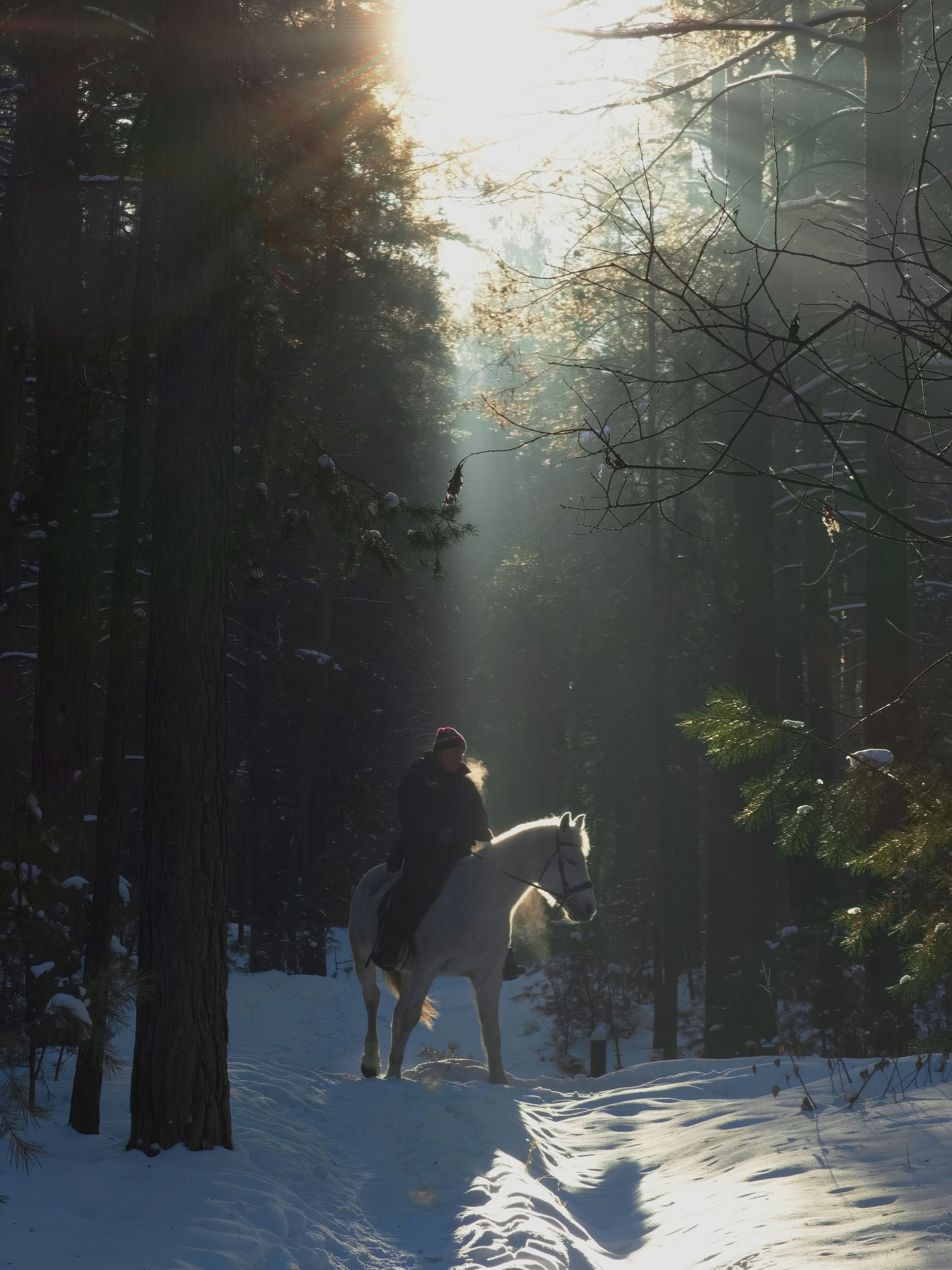 , Кузнецов Дмитрий
