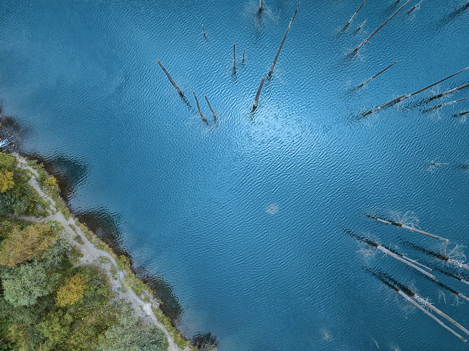 Каинды, затонувший лес, озеро, Yelena Shander