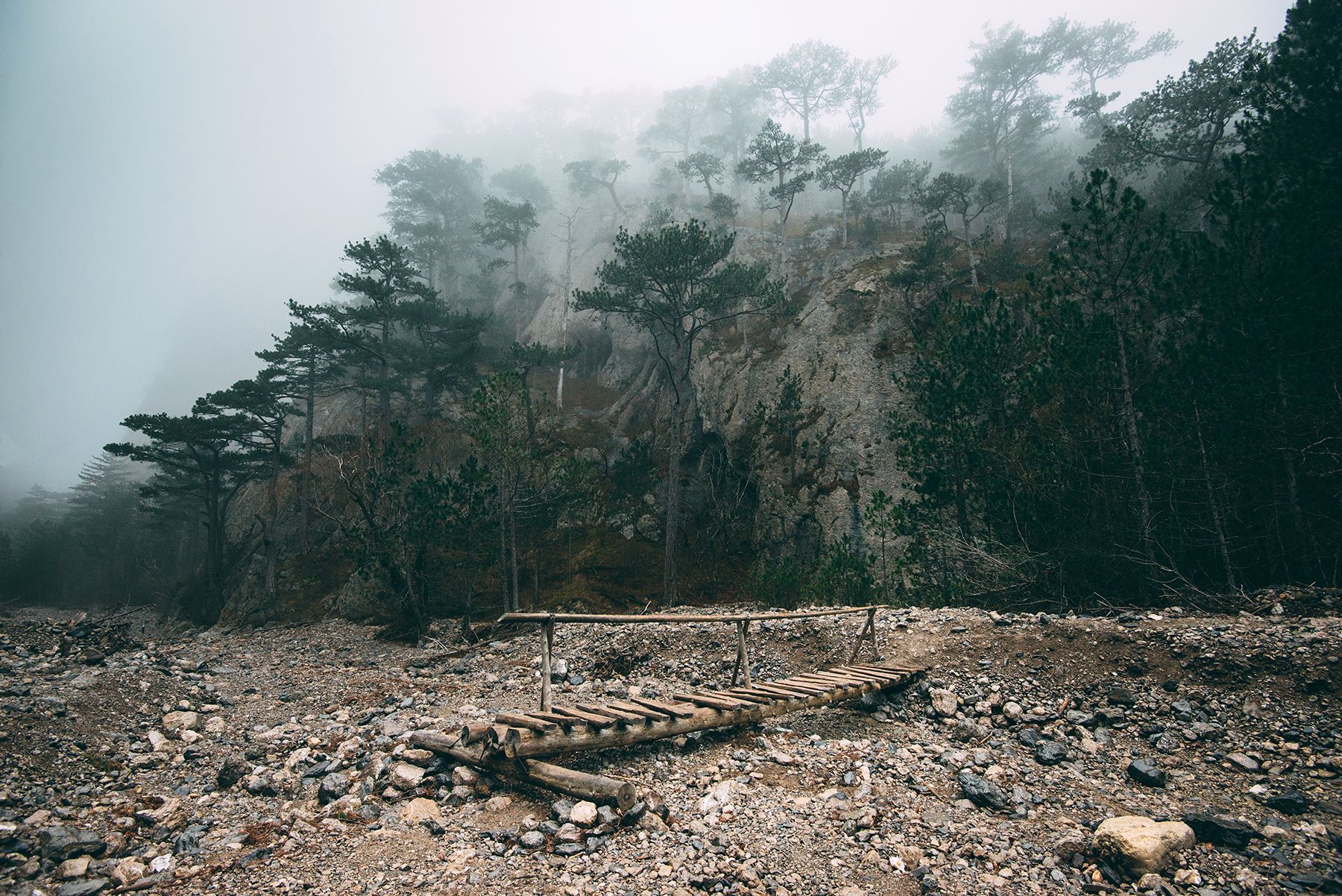 крым, Юрий Коваленко
