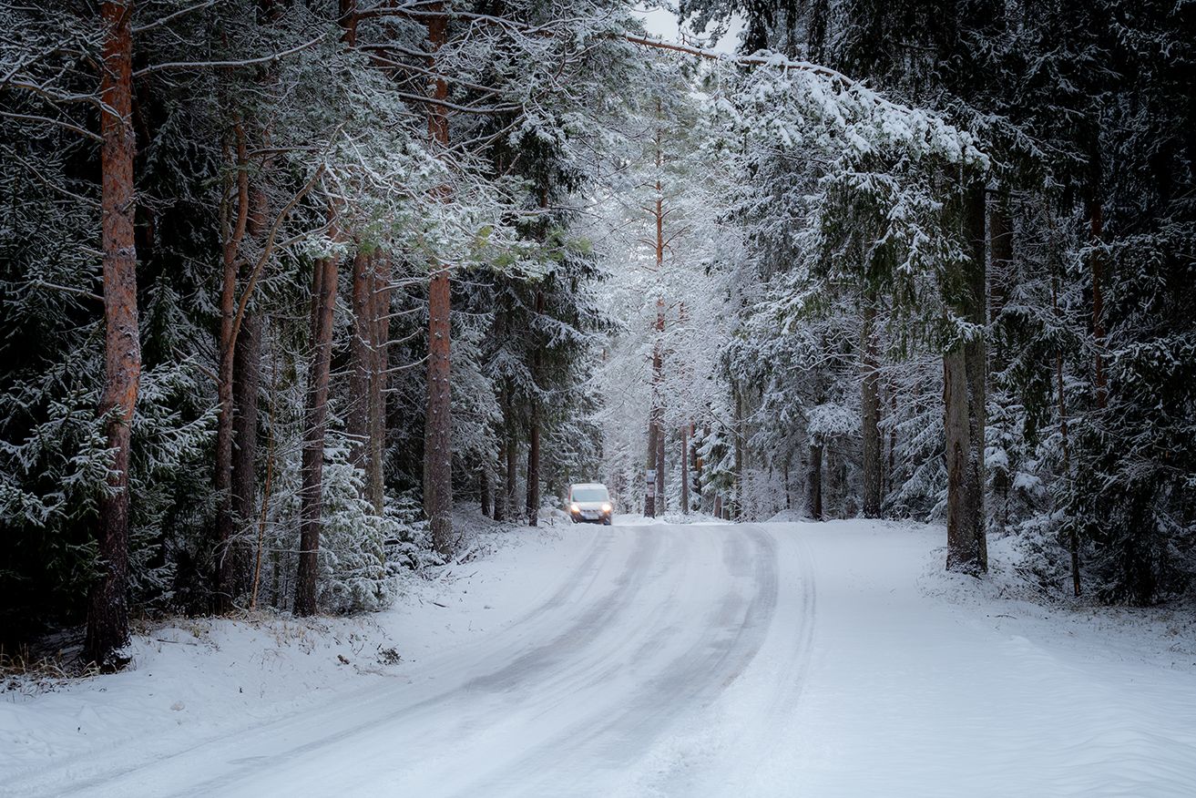 нарва зима дорога лес снег, Четвертной Сергей