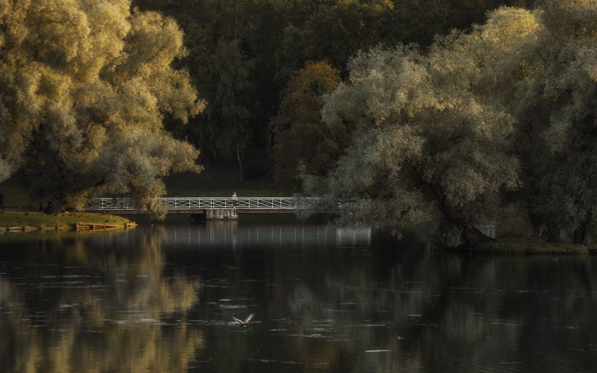 , Олег Дунаев