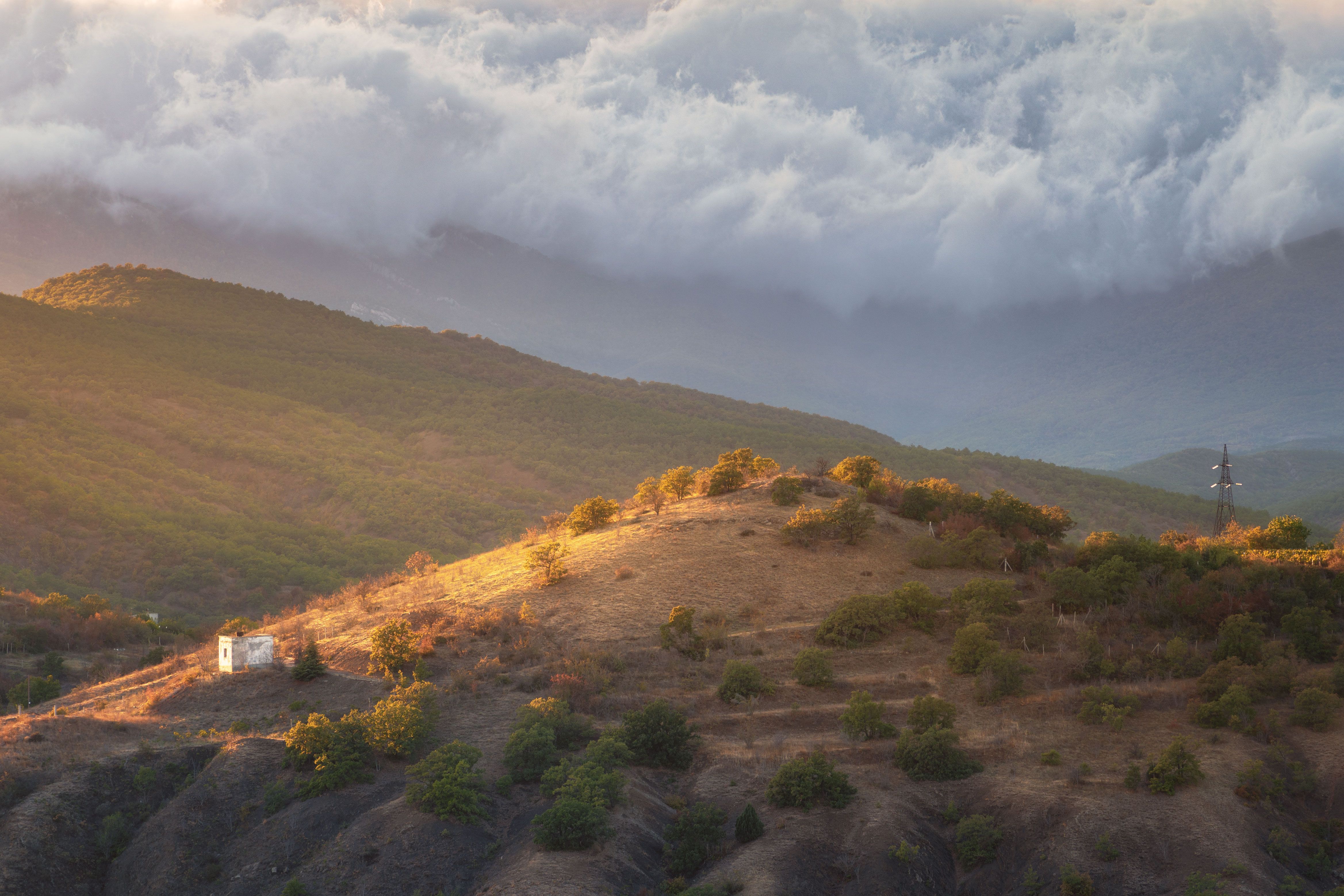 , Наташа Фирсова