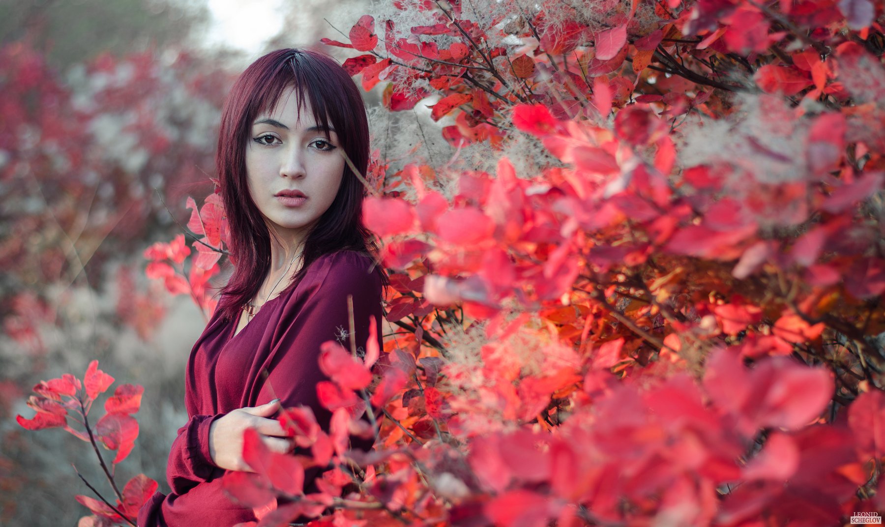 girl, red, portret, hair, leaf, beautiful, Леонид Щеглов