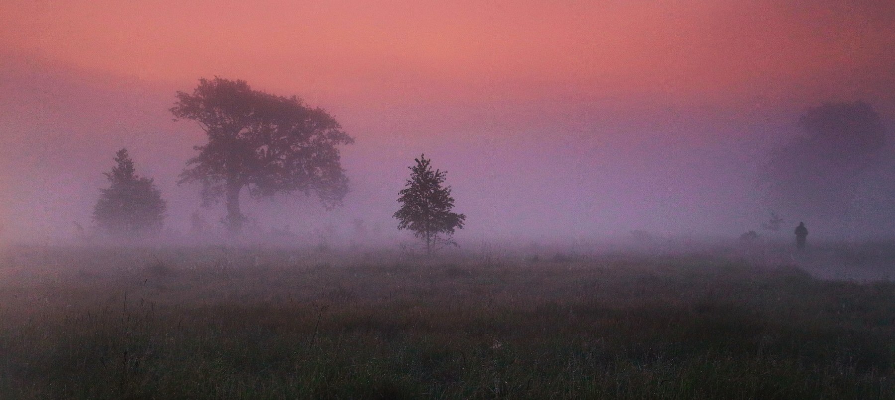 Неман, утро, туман, рассвет, Валерий Козуб