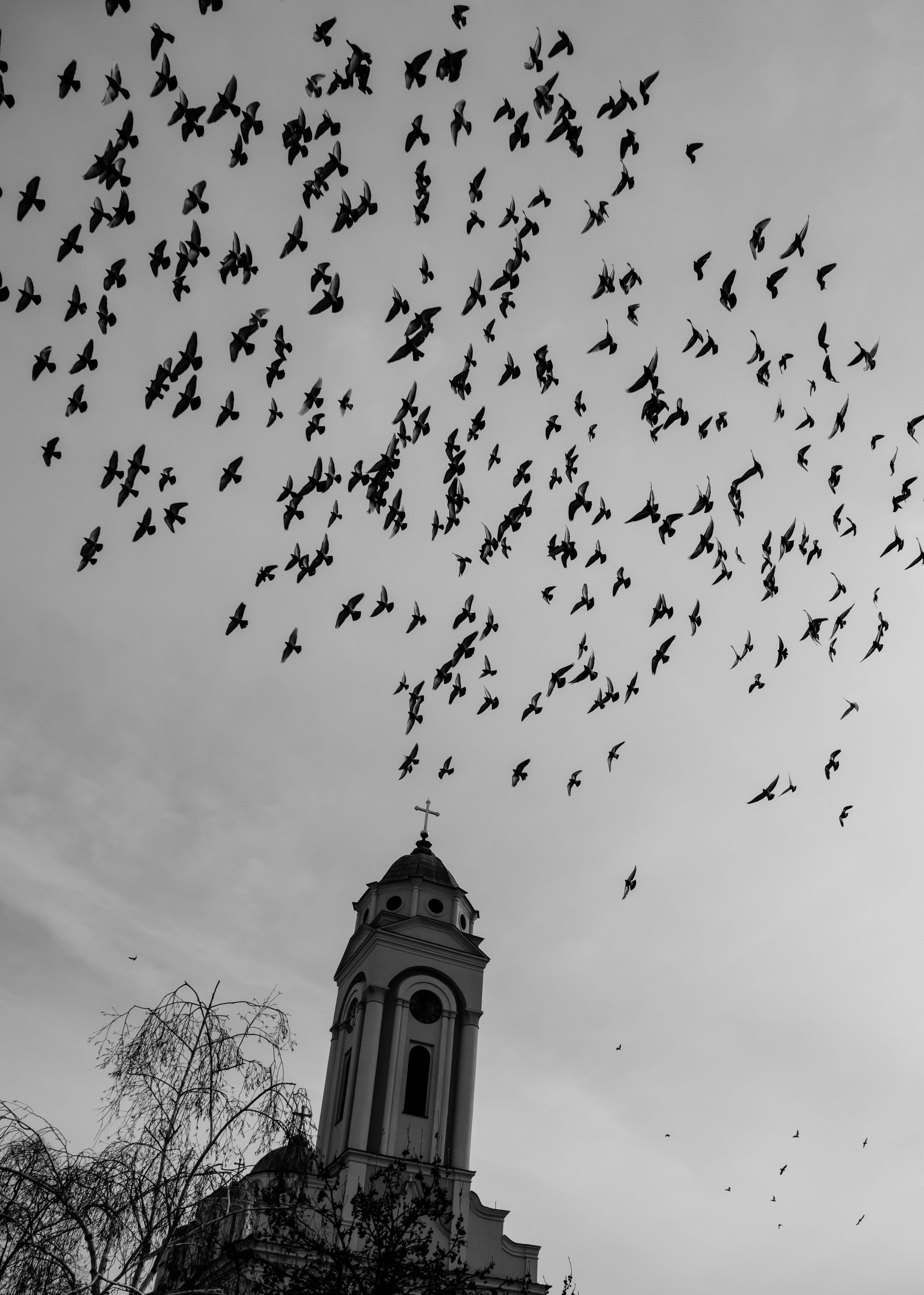 , Шилов Александр