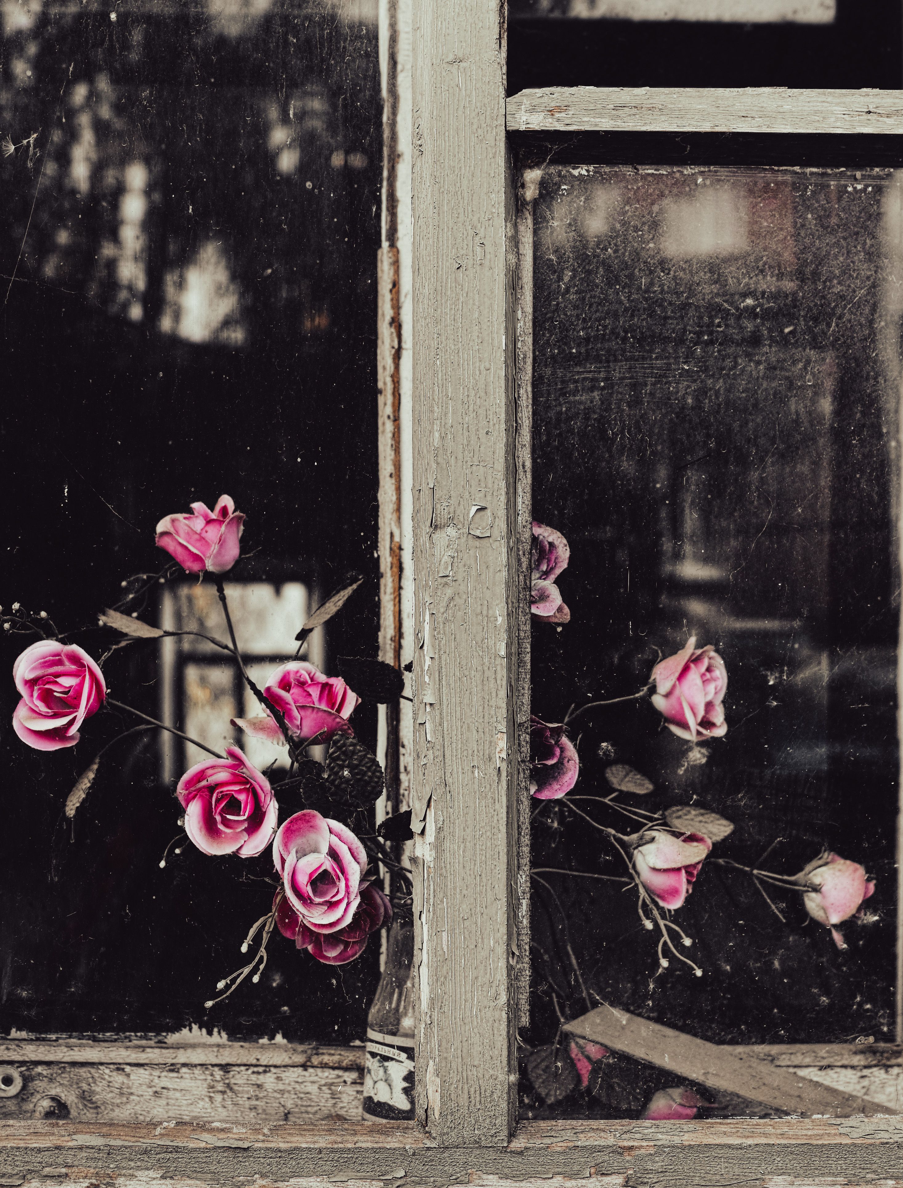 , Лофицкая Лариса