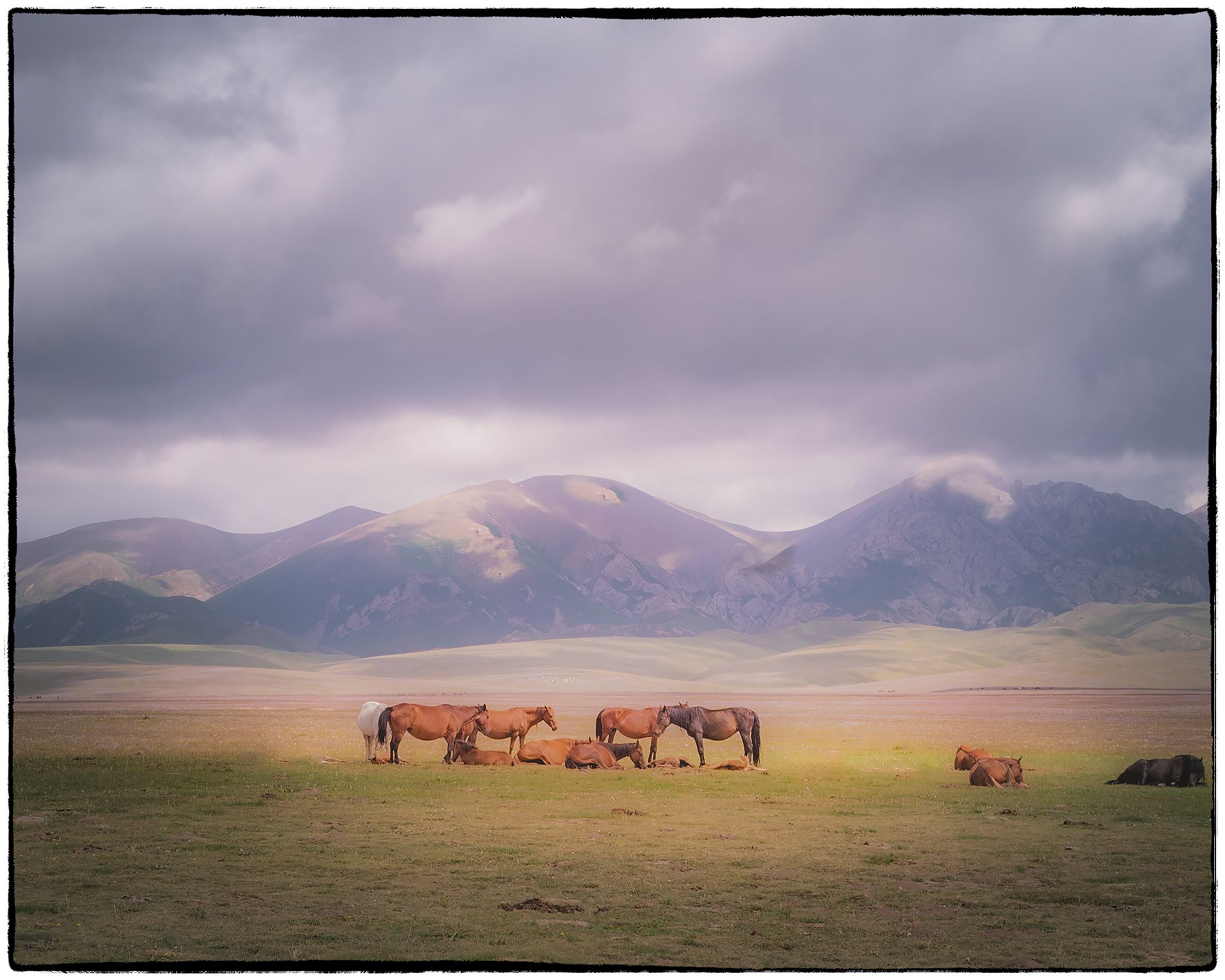 , Владимир Поляков