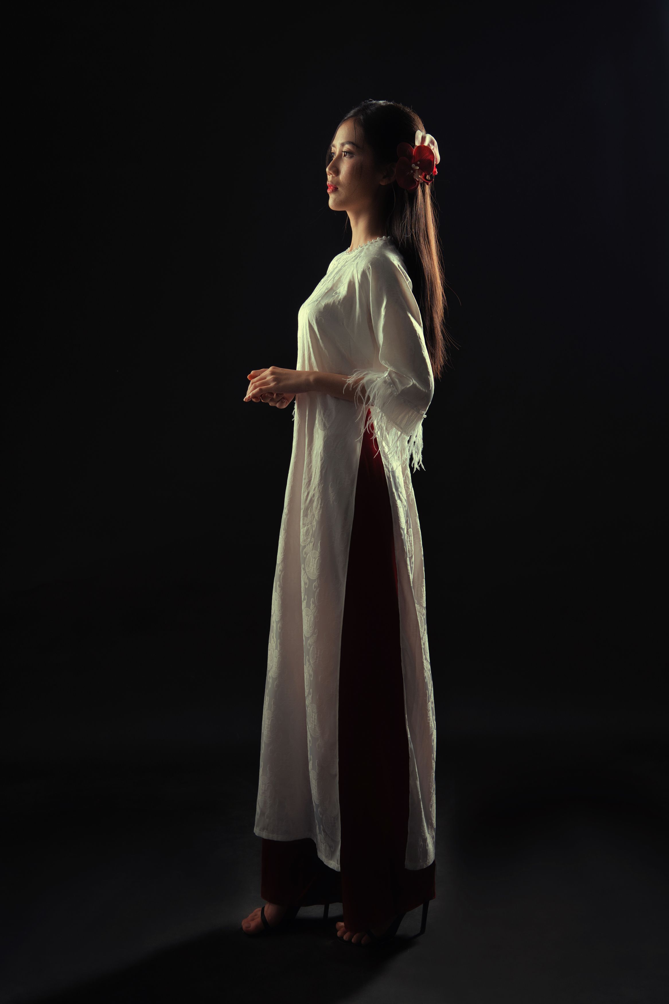 ao dai, vietnam, studio, Tran Minh Quan