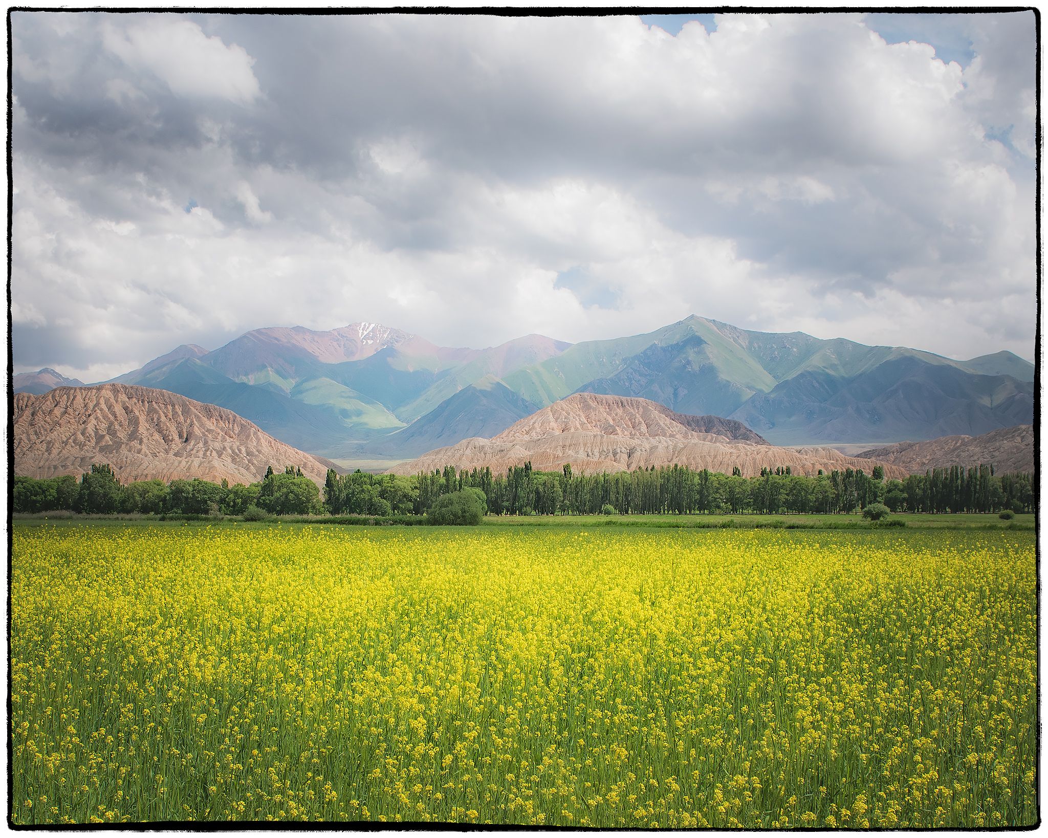 , Владимир Поляков