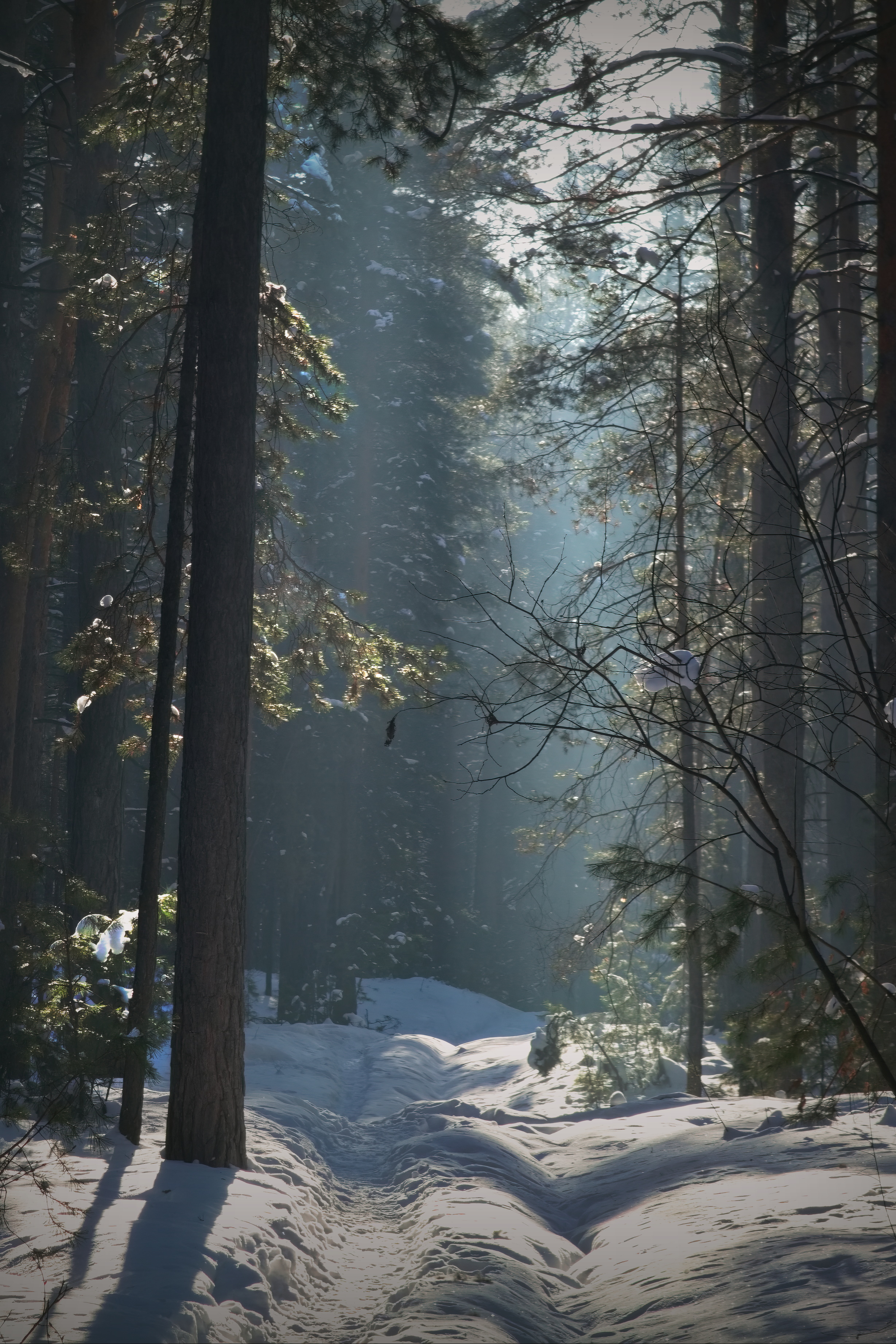 , Кузнецов Дмитрий