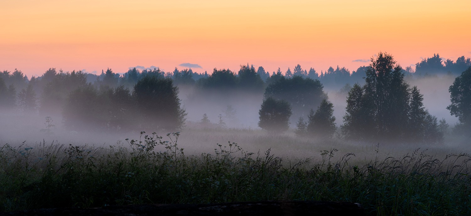 , Дмитрий Асеев