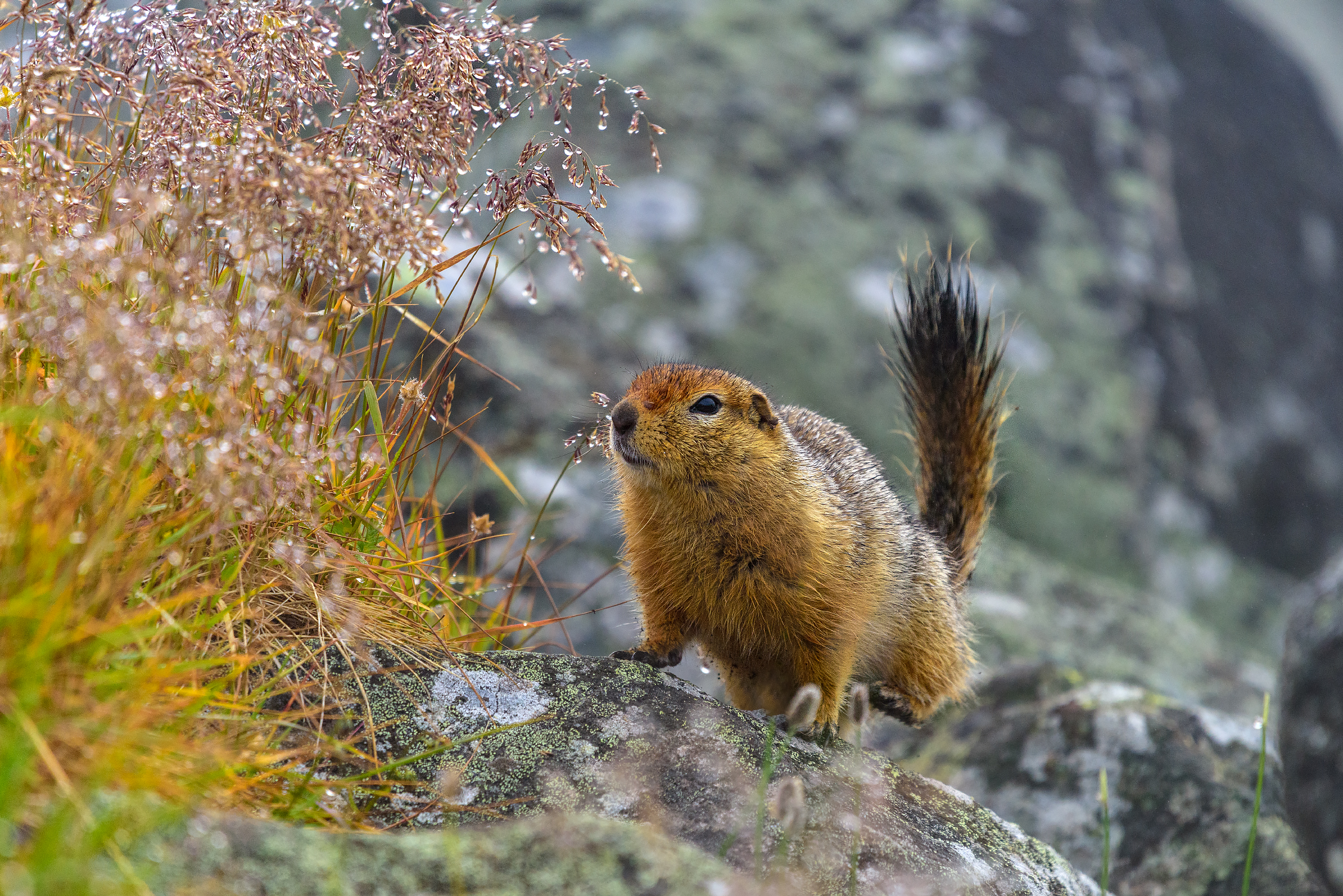 путешествие, осень, чукотка, Юрий Матвеев