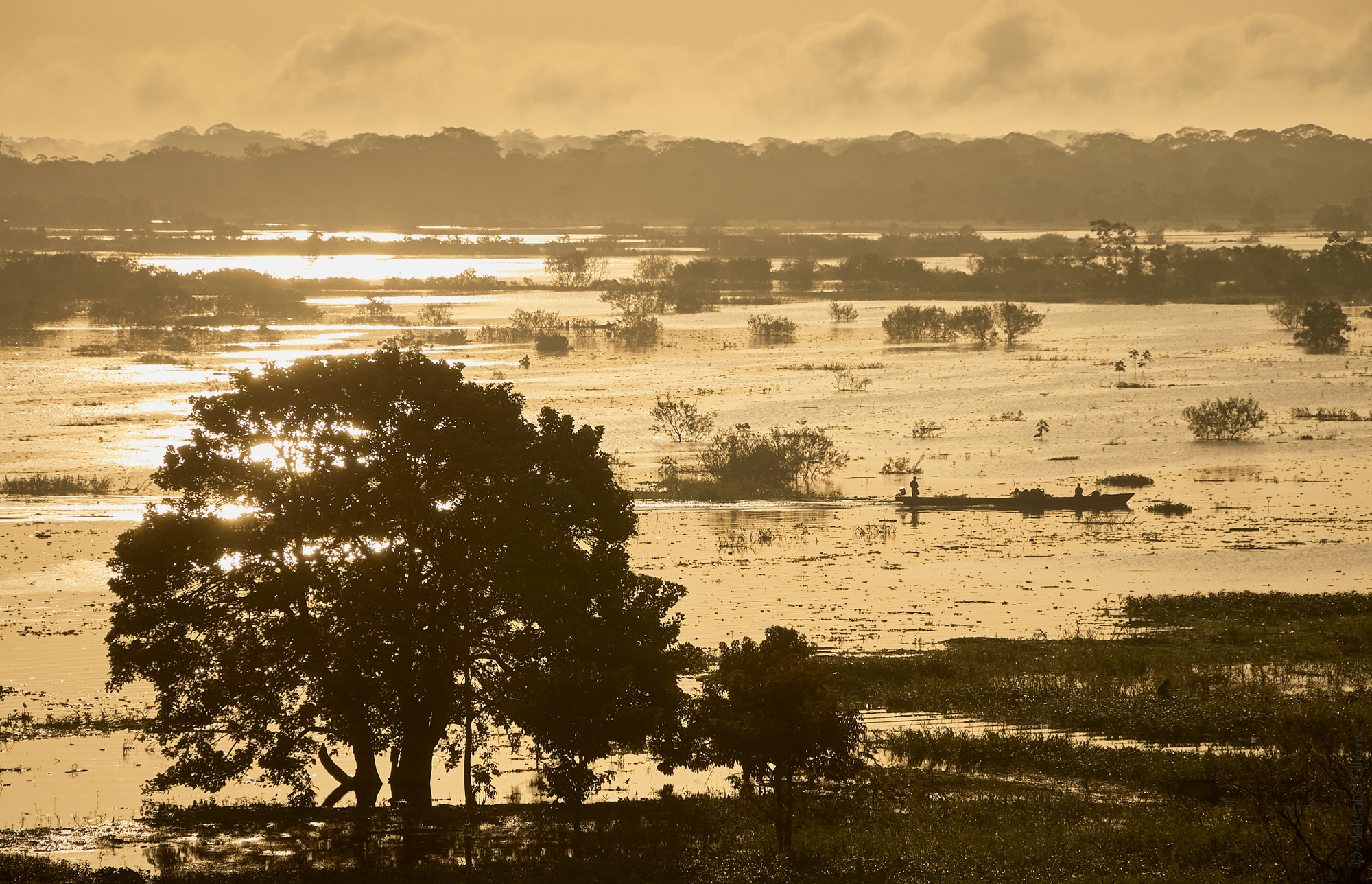 амазонка, перу, peru, сельва, Гиль Александр