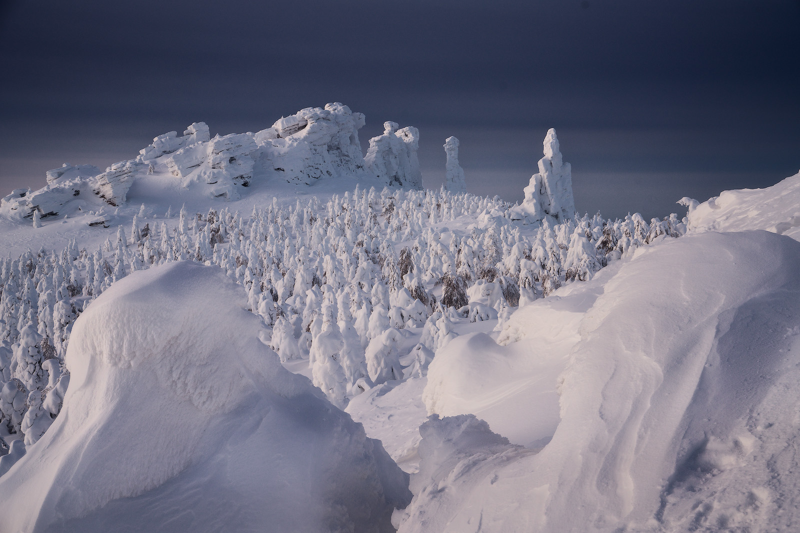 , Владимир Ляпин