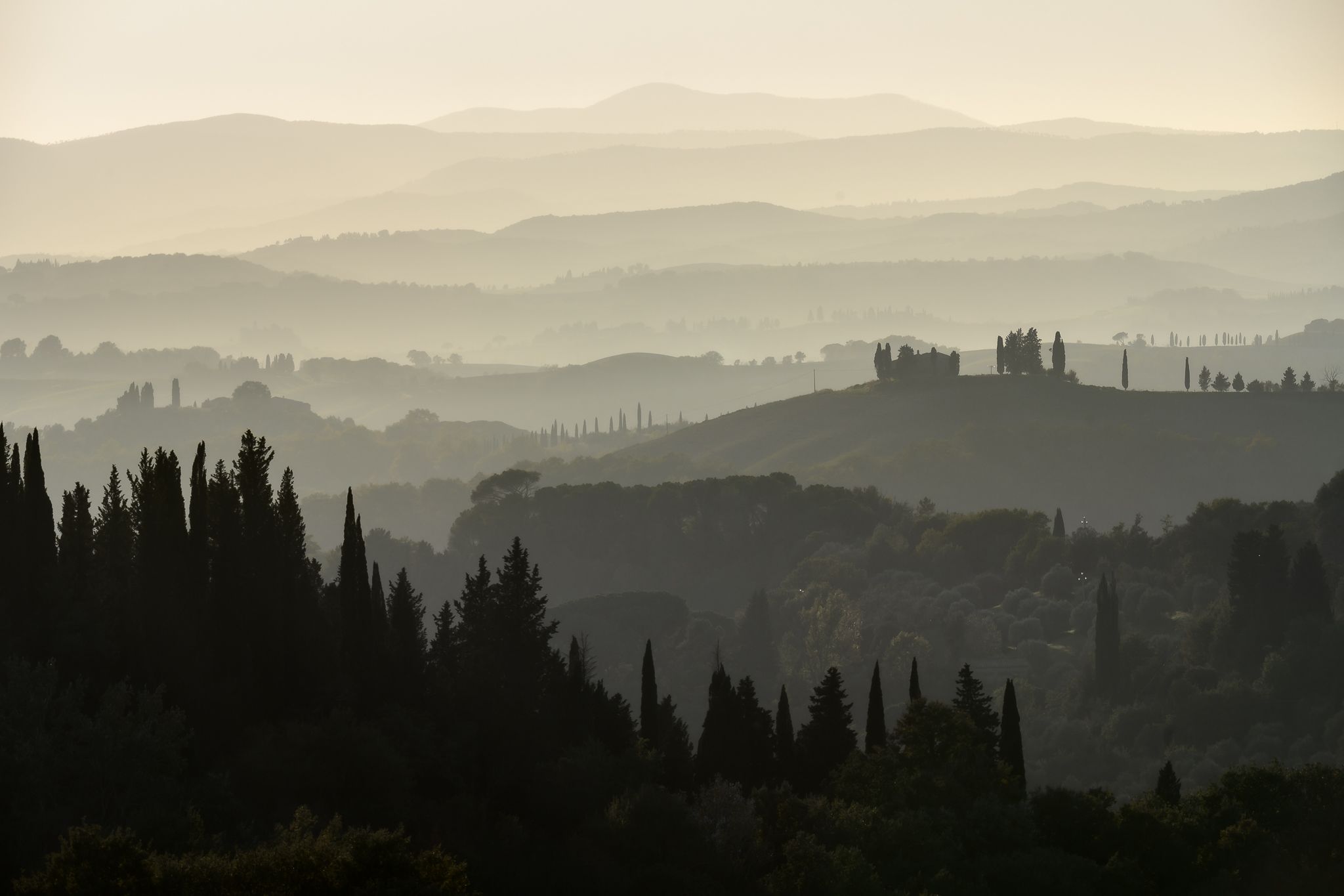 2024, осень, тоскана, туманные холмы тосканы, Булгаков Сергей