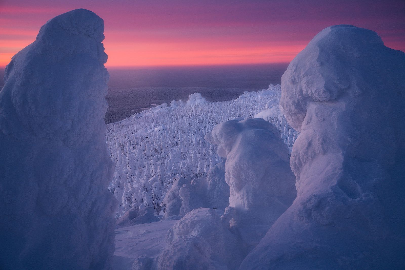колчим, Владимир Ляпин