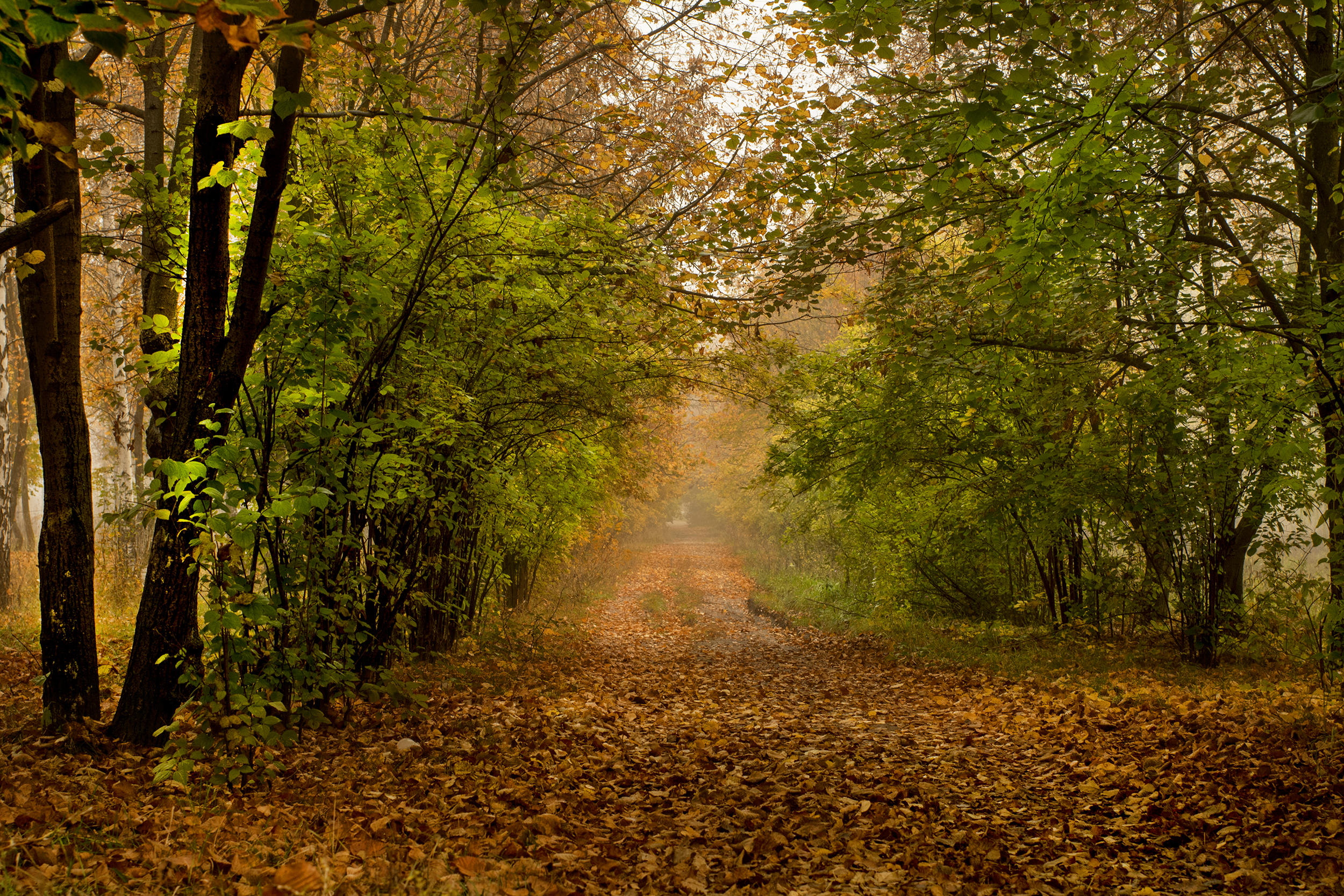 природа, Валерий Черняк