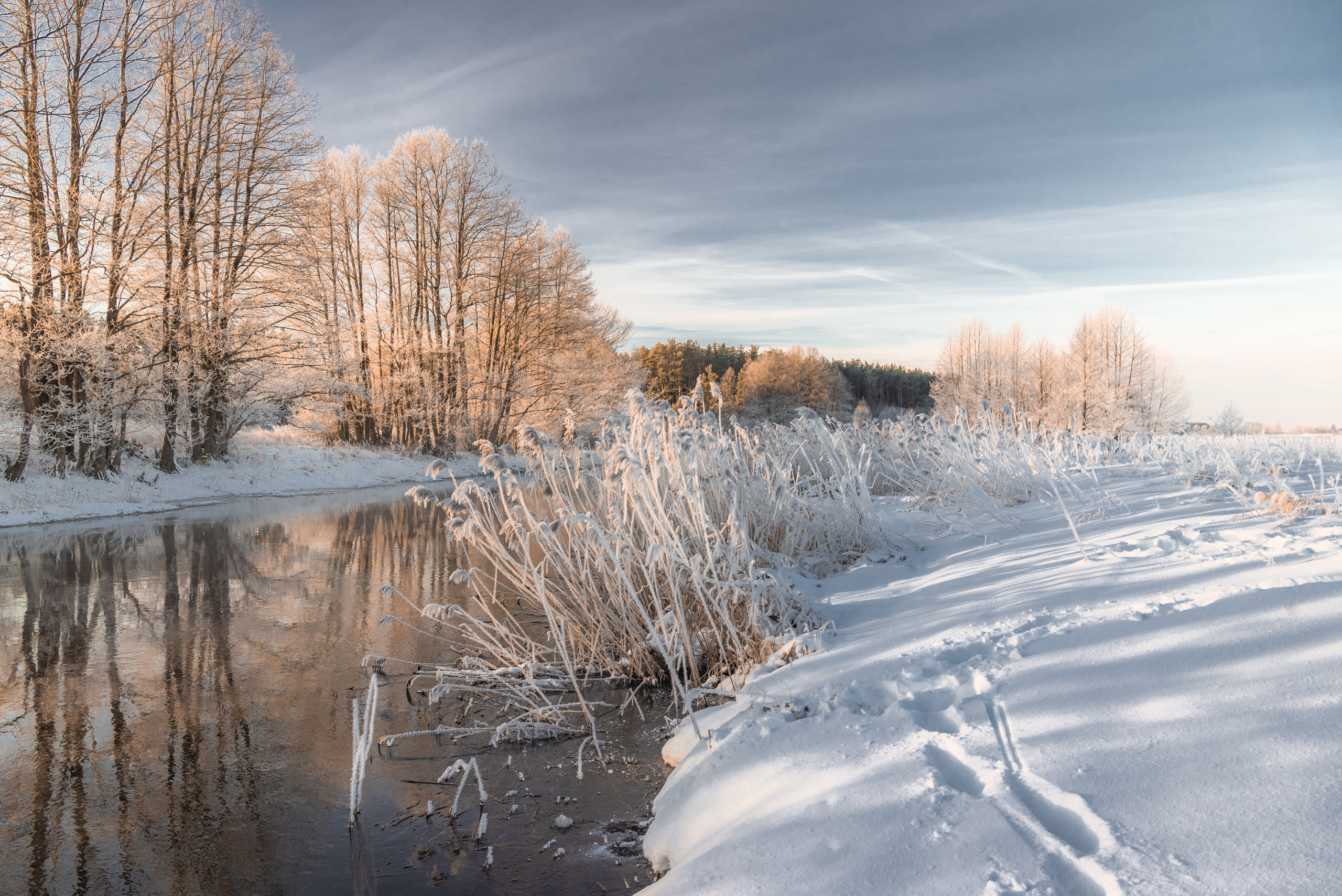 , Руслан Авдевич