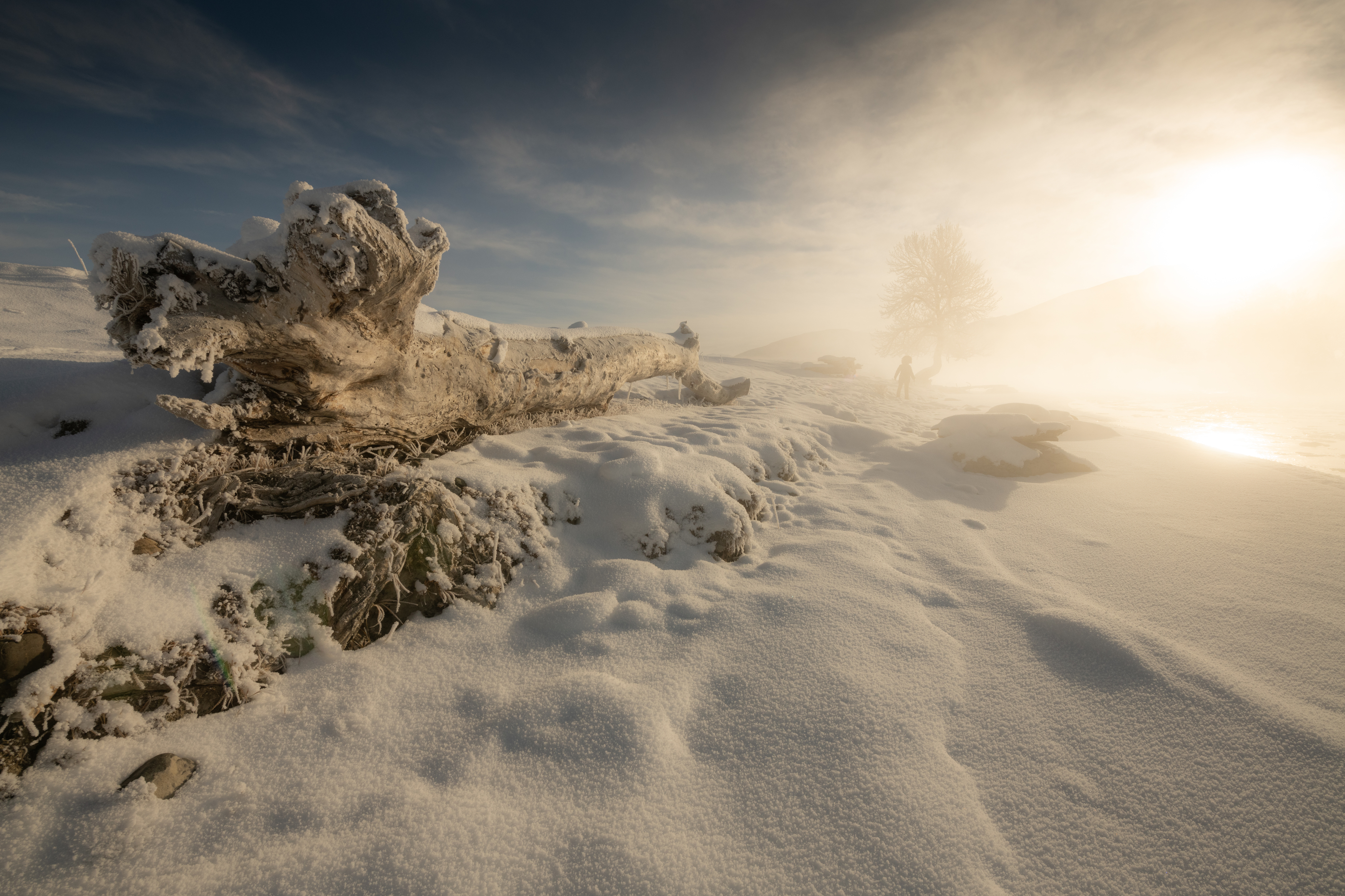 , Абрамов Денис