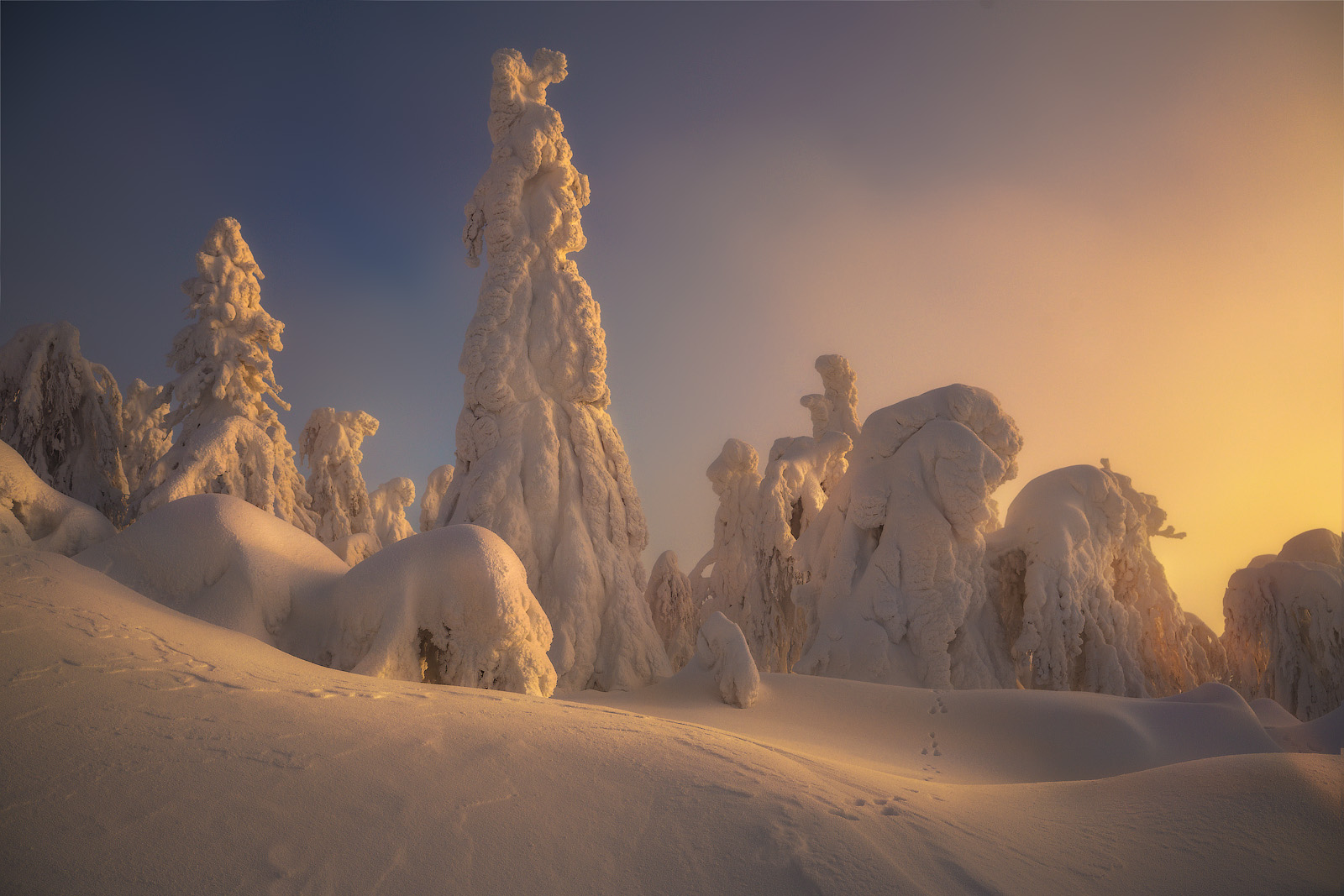 полюд, Владимир Ляпин