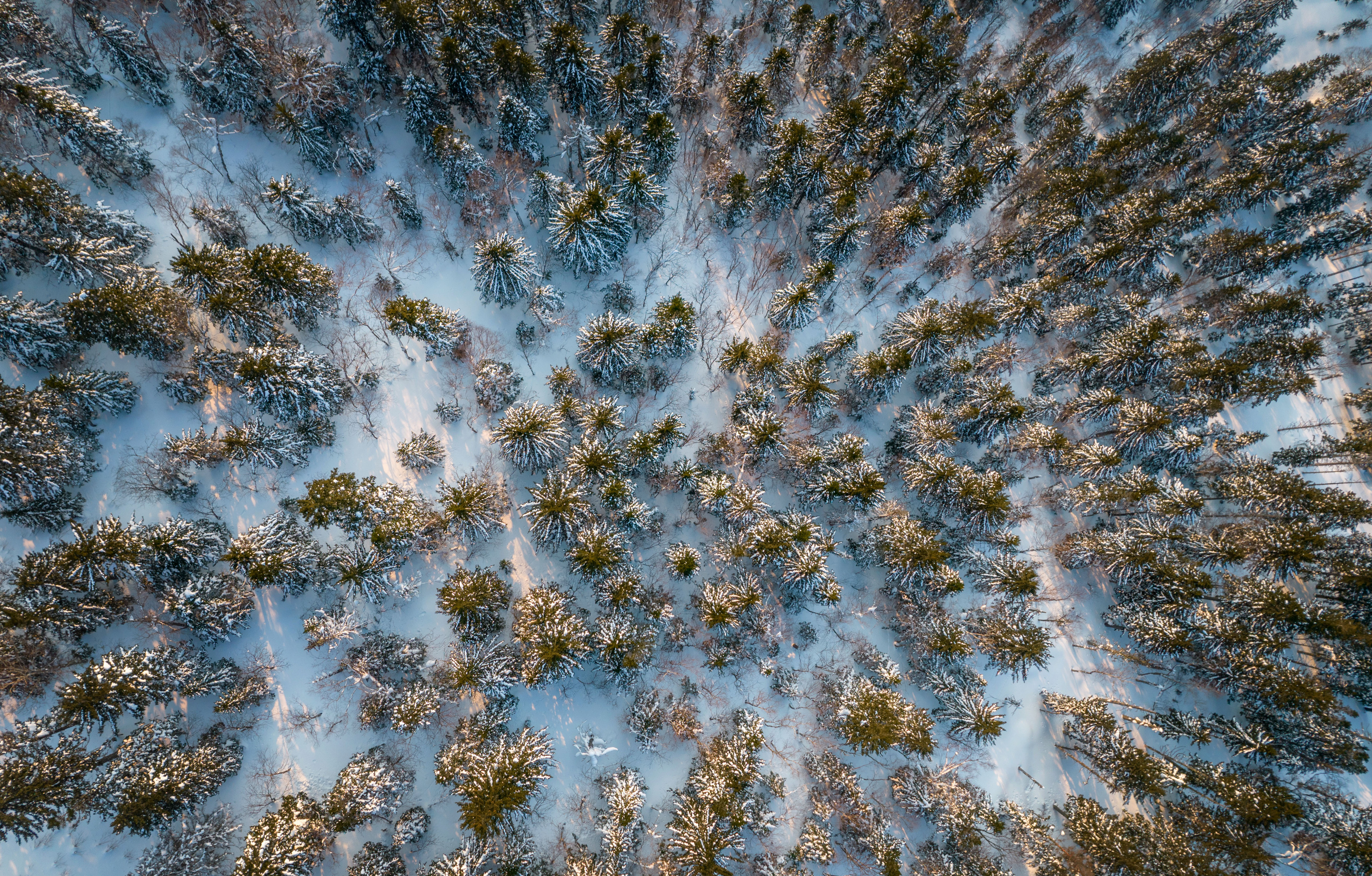 , Артем Удодов