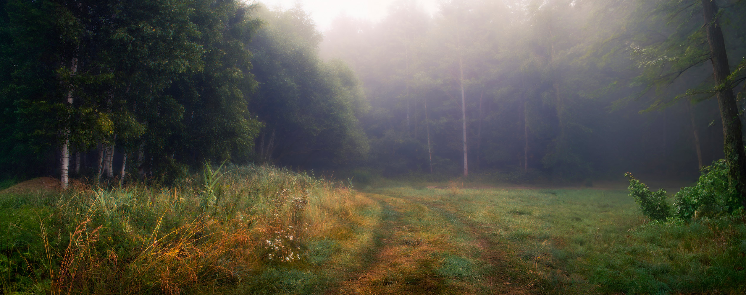 , Сергей Шабуневич