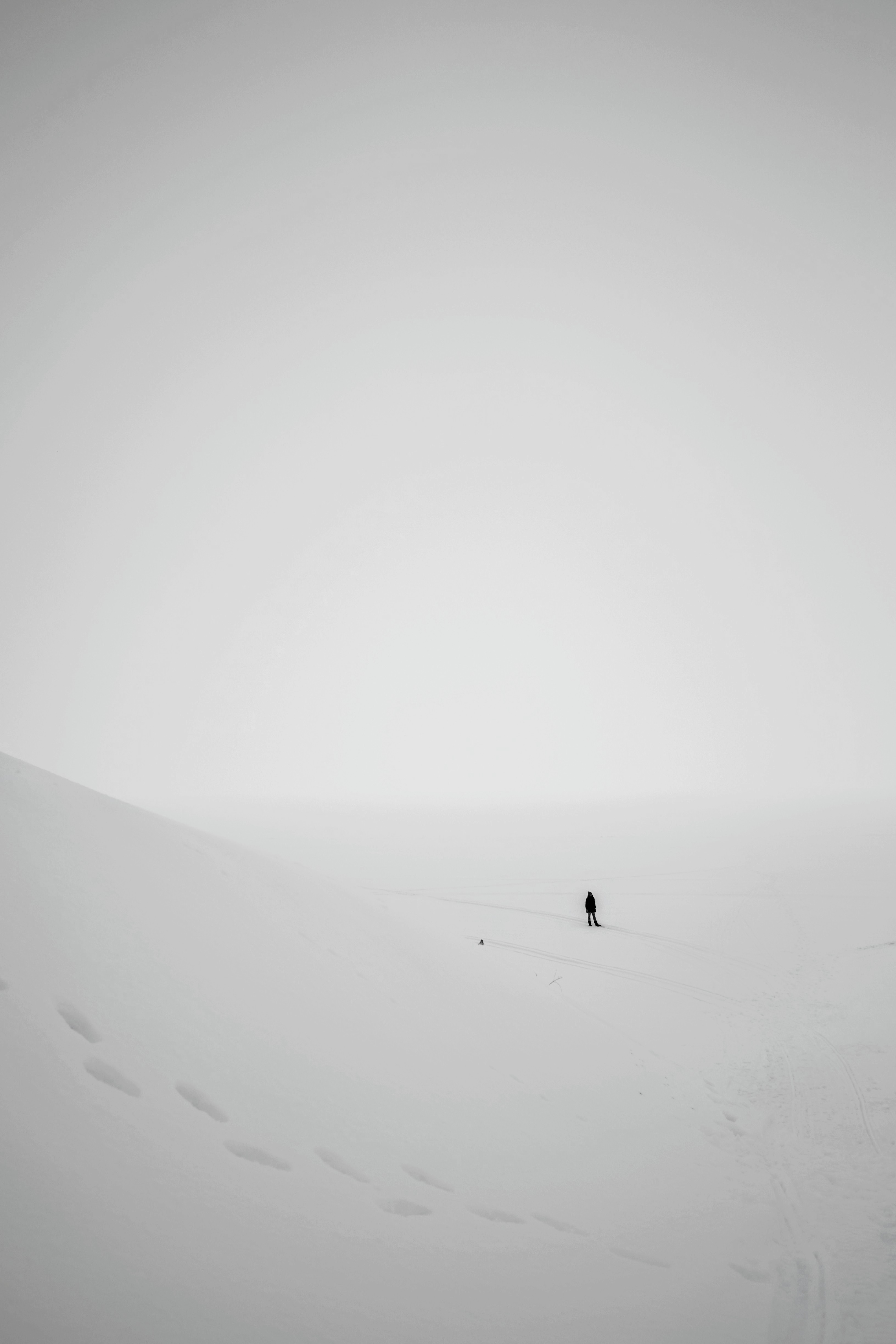 черно-белые , Раимун Алексей