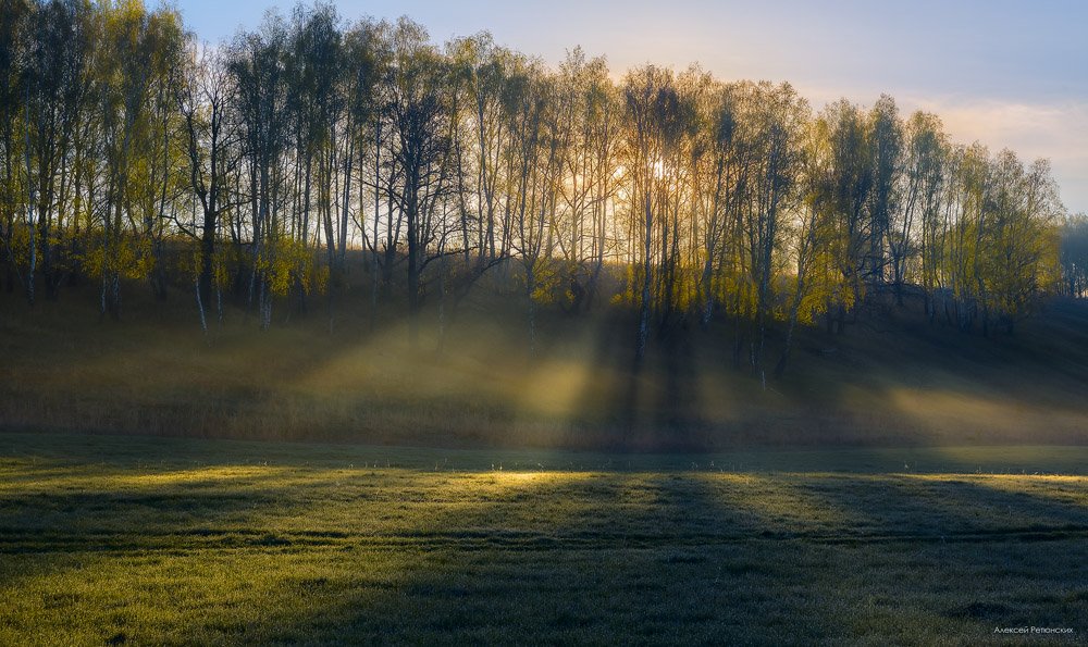 утро, лучи, рассвет, холм, лес, туман, дымка, Алексей Ретюнских