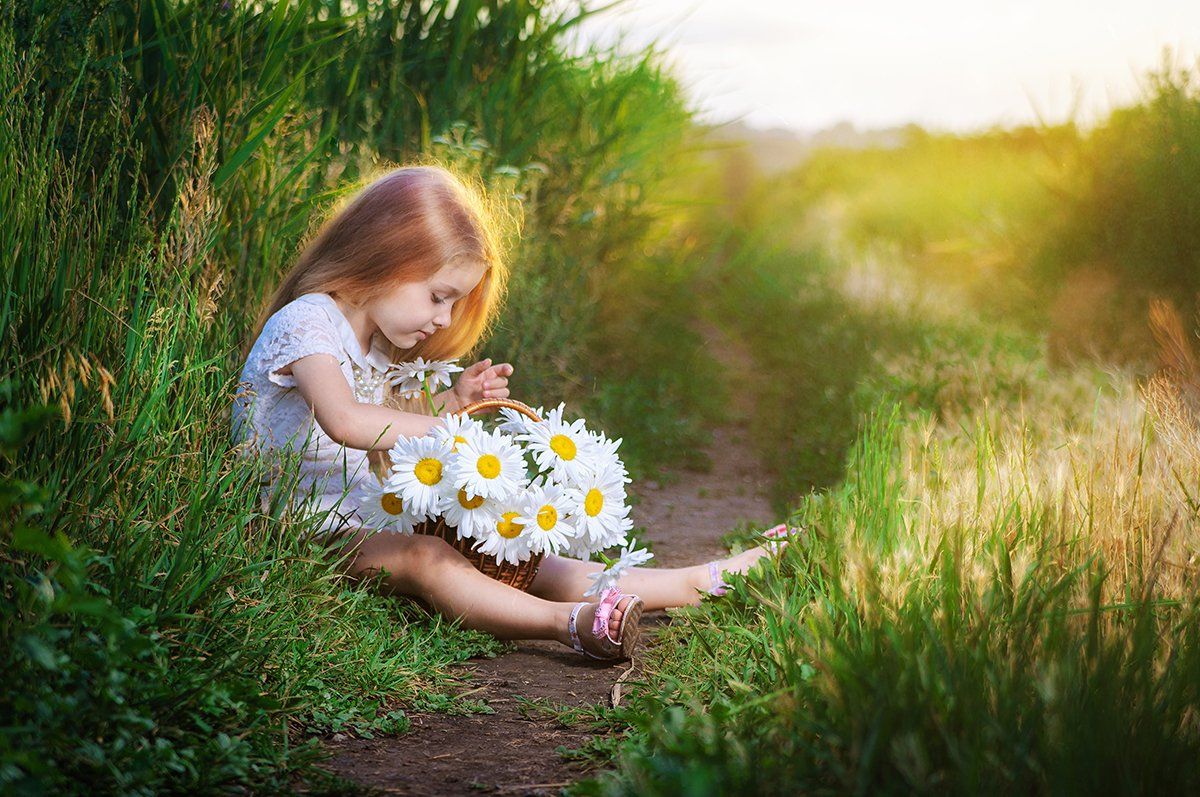 Слушать девочка милашка а в руках. Девочка в ромашках. Ромашка для детей. Дети с цветами. Дети и природа.