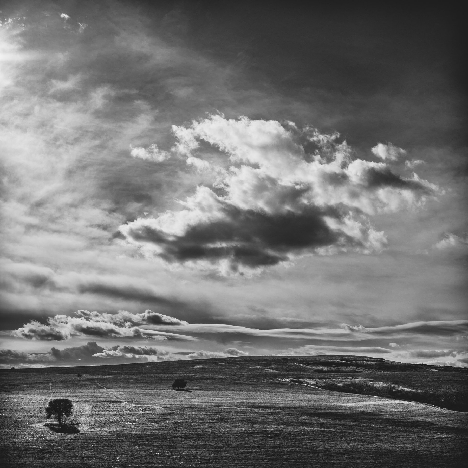 landscape, trees, nature, clouds, black and white, deep,, Boris Preslavski