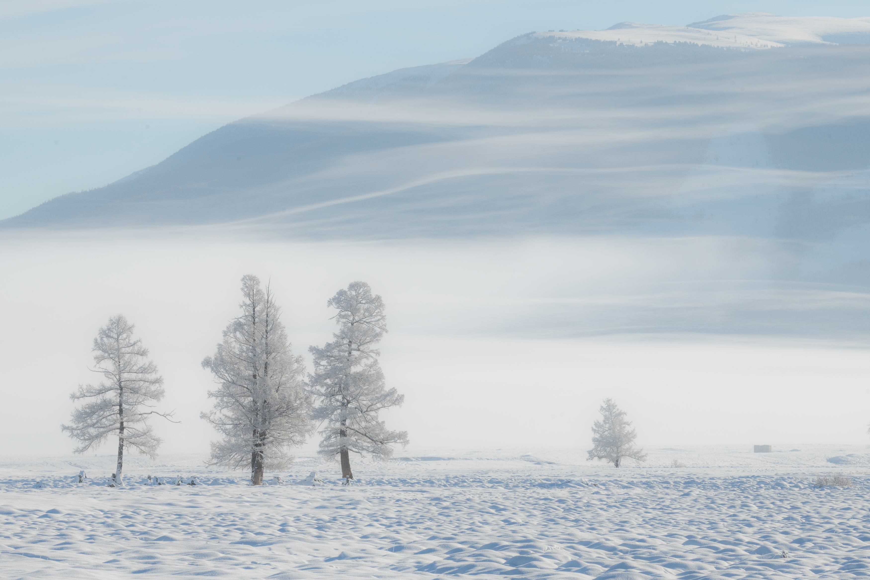 , Абрамов Денис