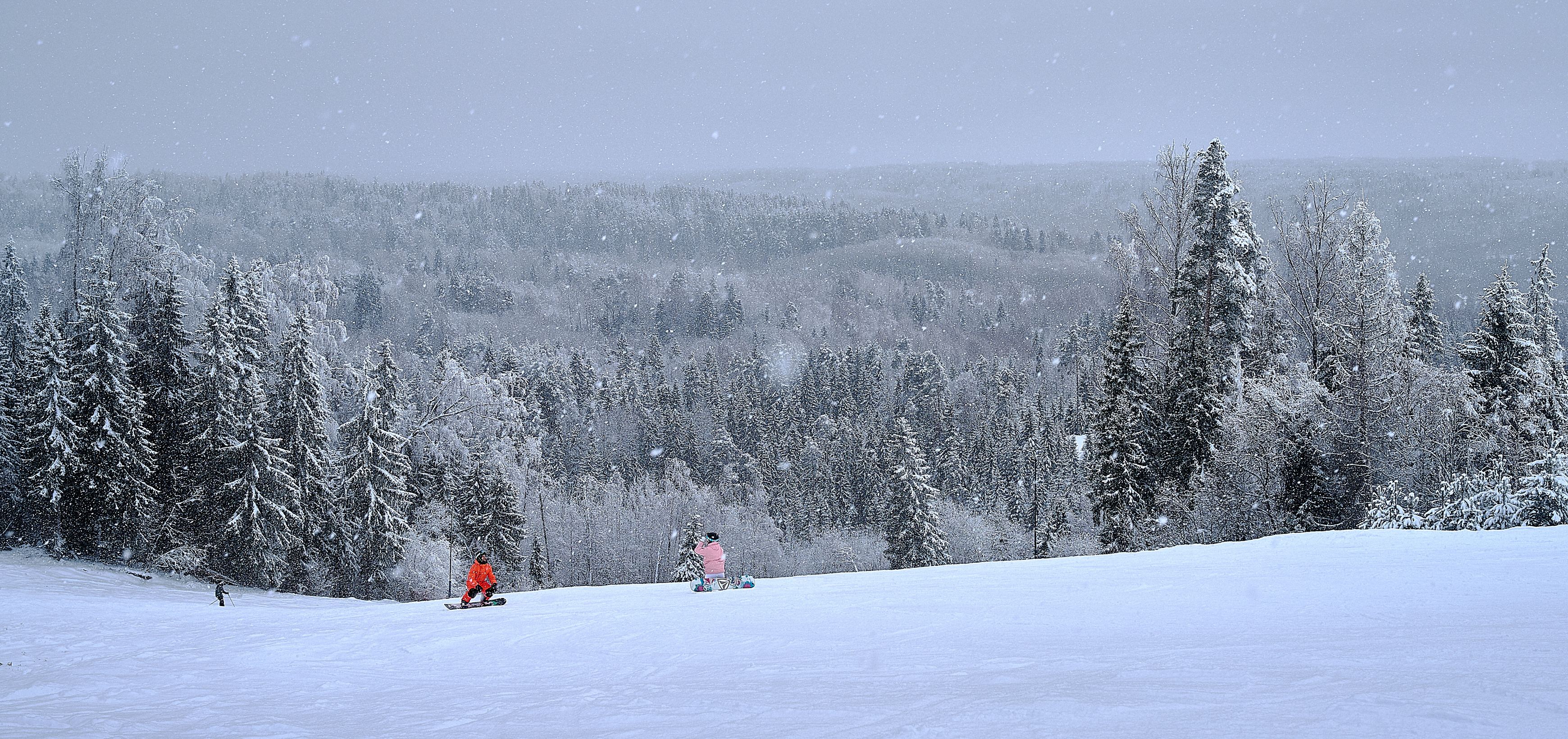 , Борис Дацковский
