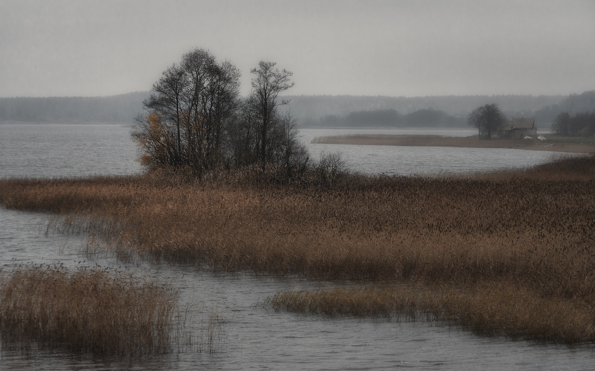 , Олег Дунаев