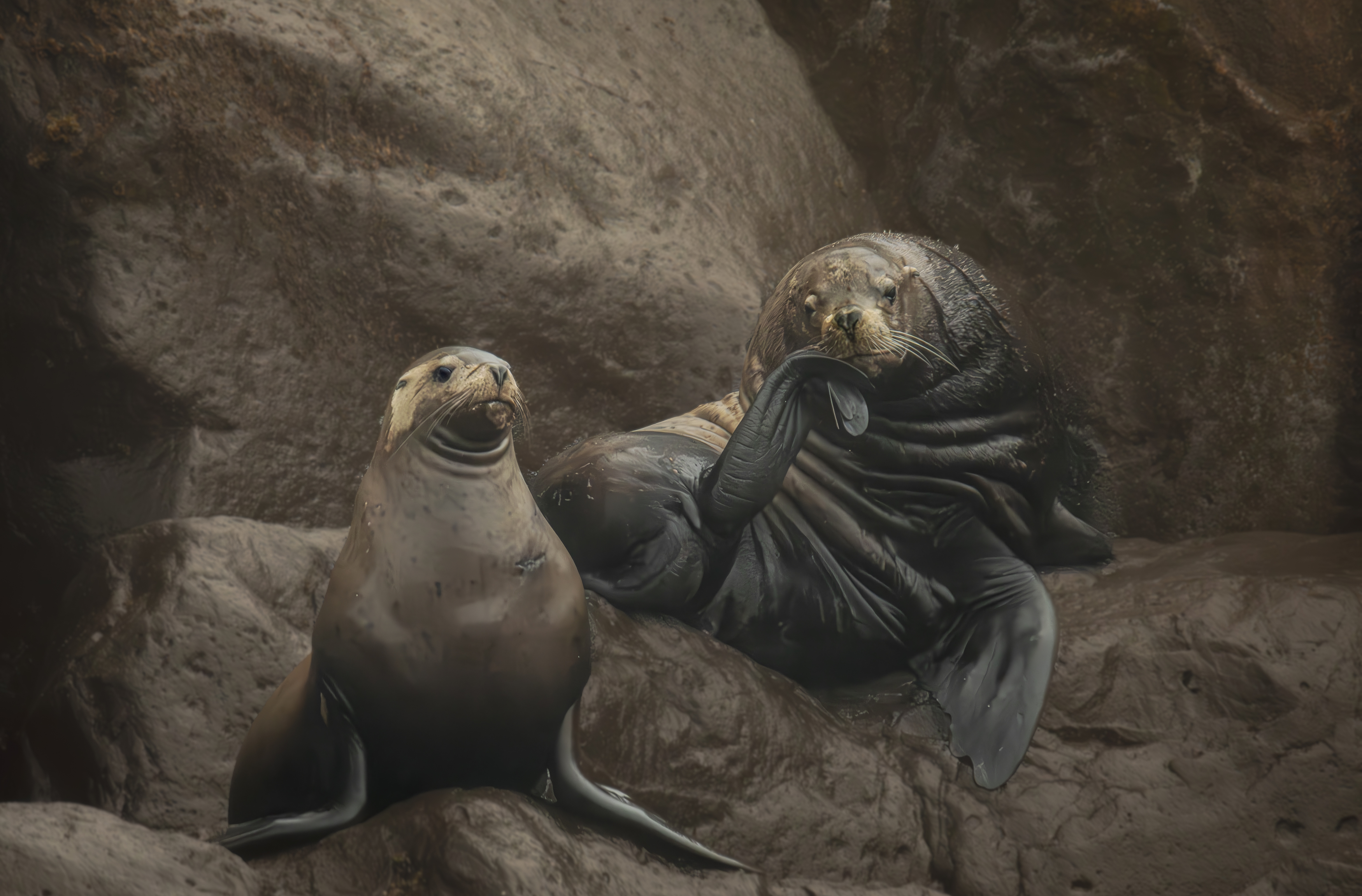 , Лаврентьев Александр