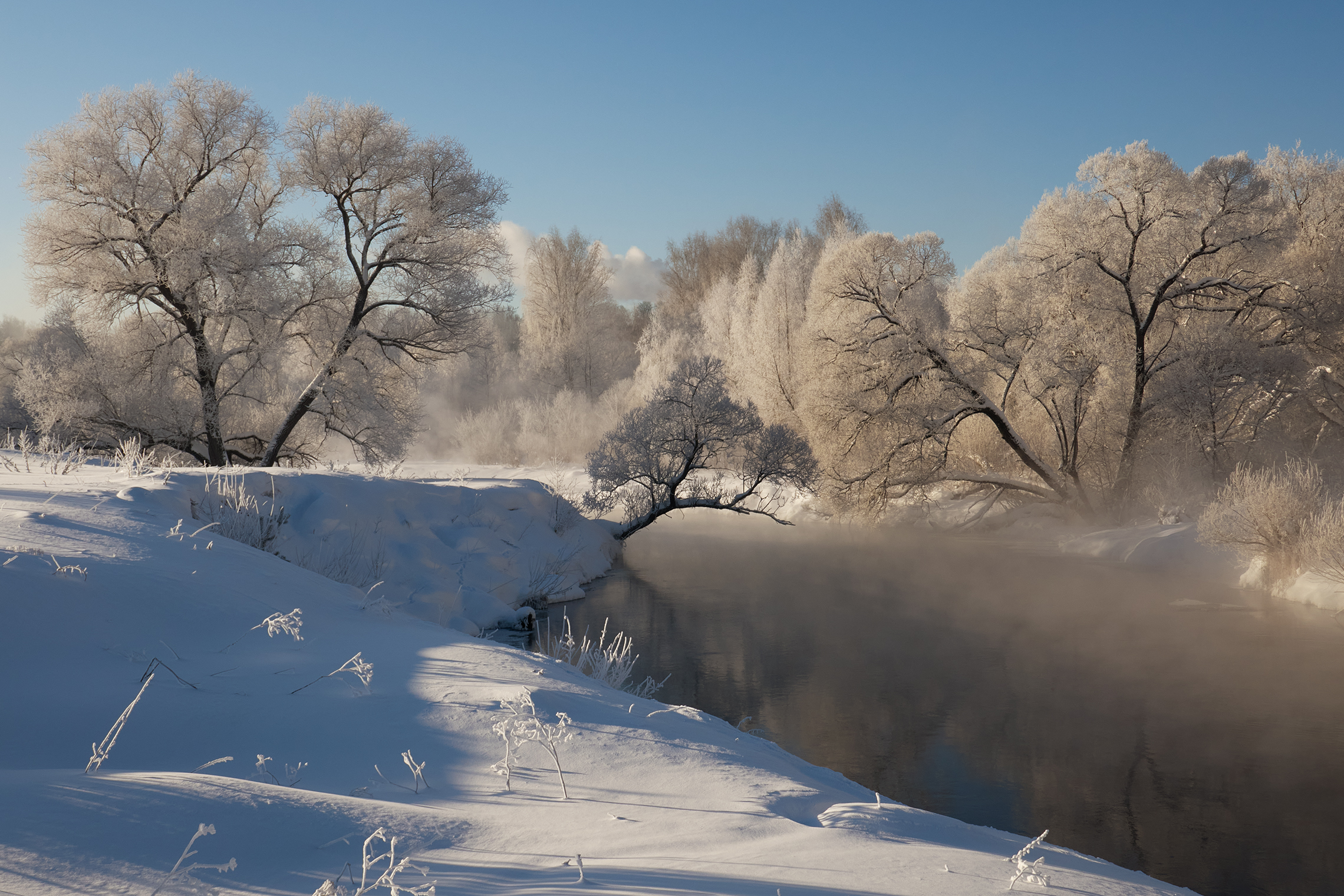река истра, мороз, иней, Медведев Александр