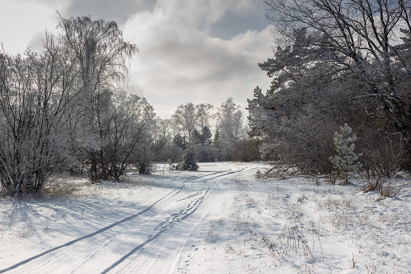 лес, деревья, зима, иней, природа, Востриков Руслан