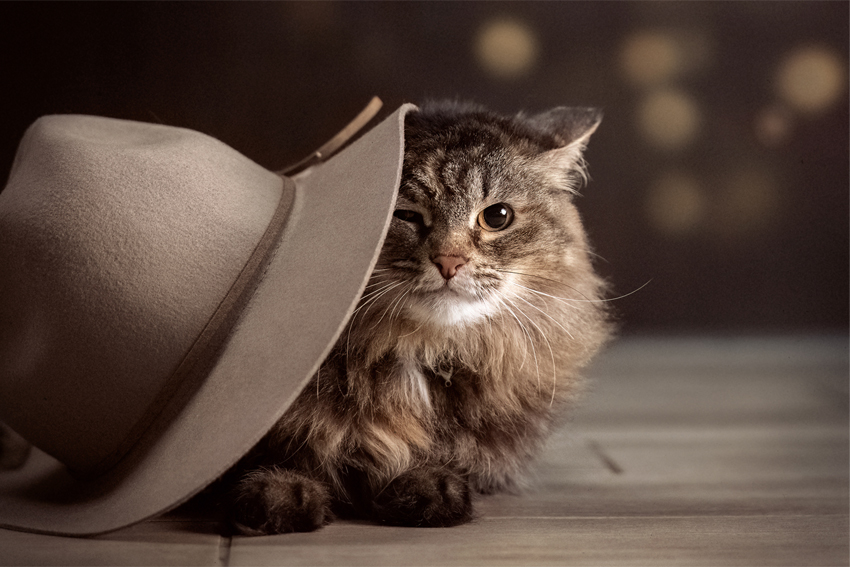 , Татьяна Тихомирова