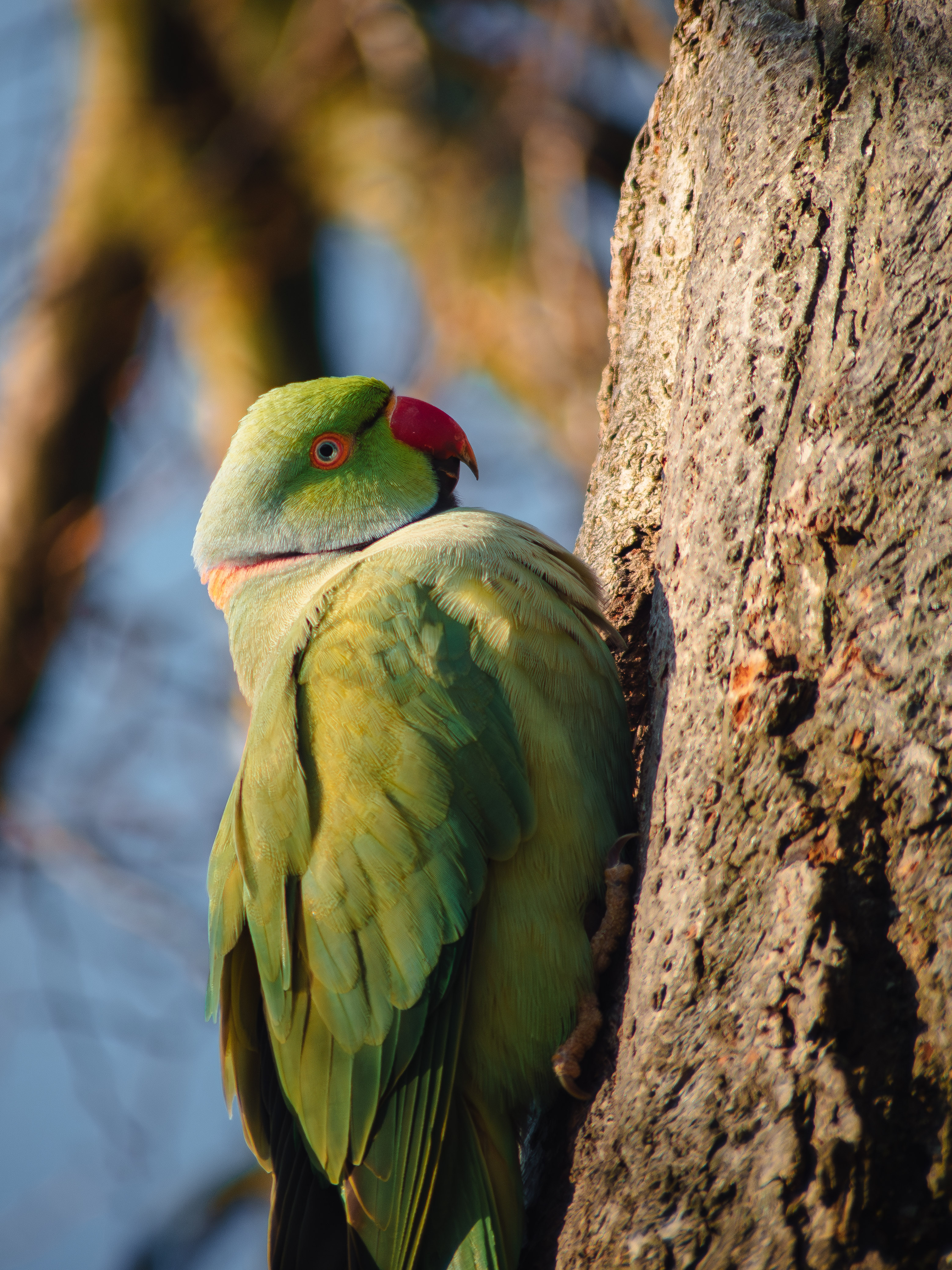 , Ирина Протченко