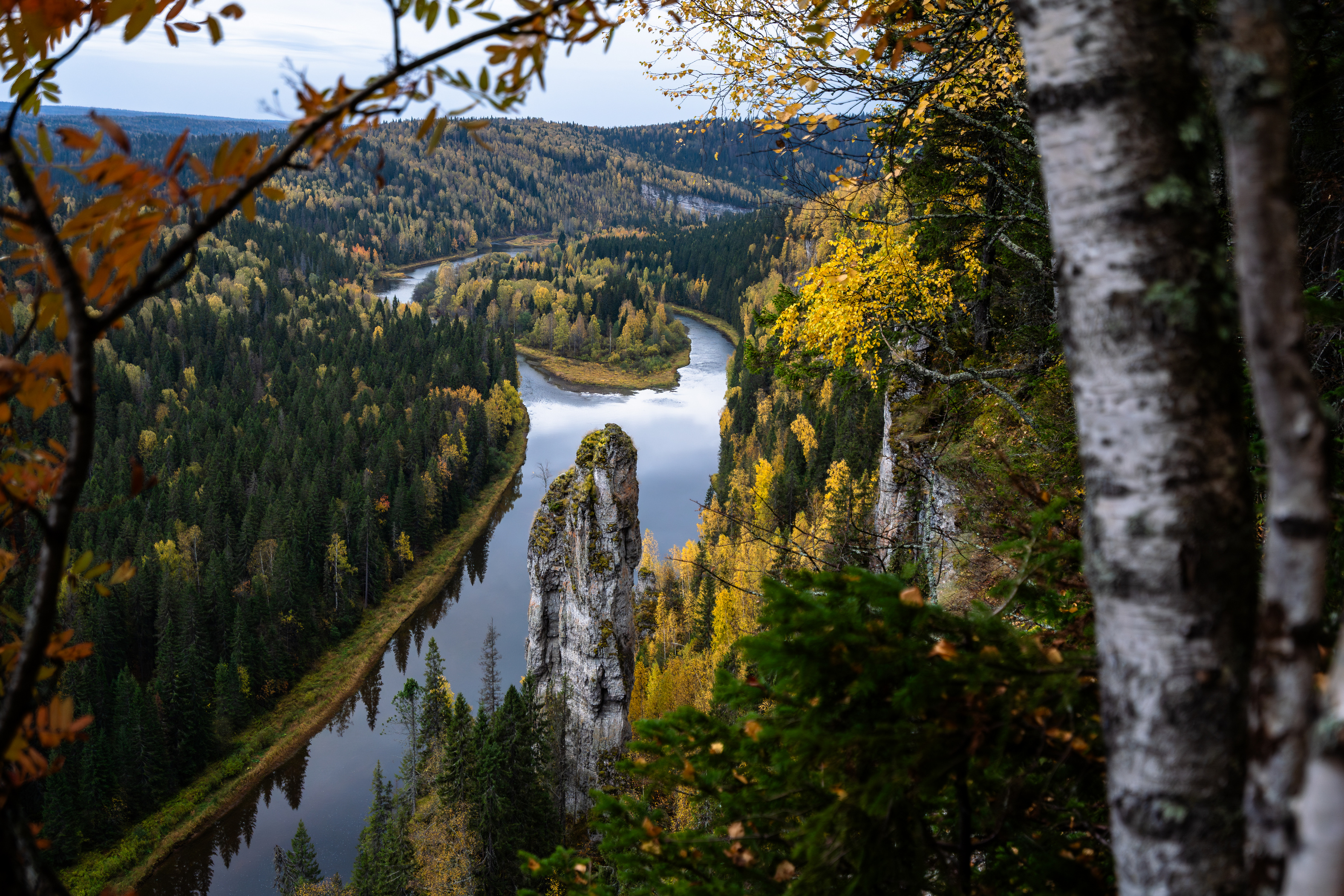 , Баландин Дмитрий