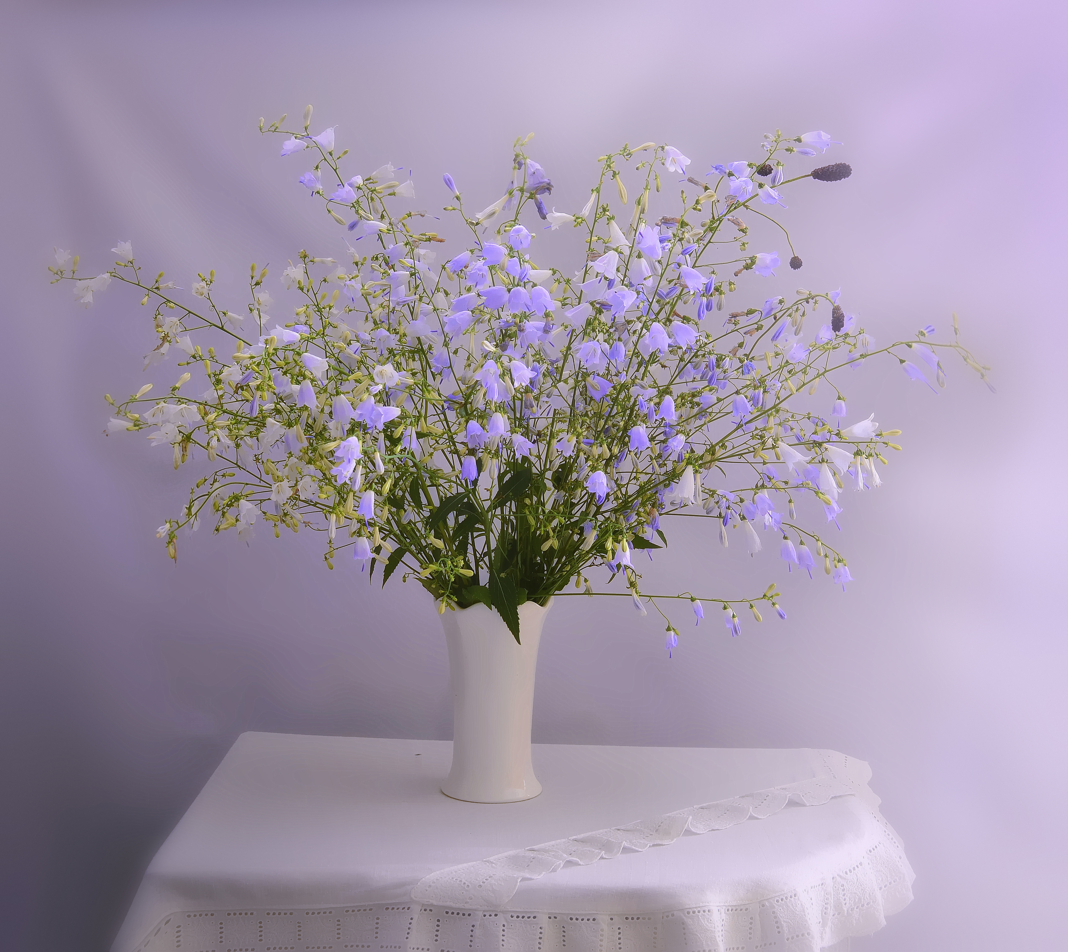 натюрморт,композиция,свет,лето,букет, Инаида