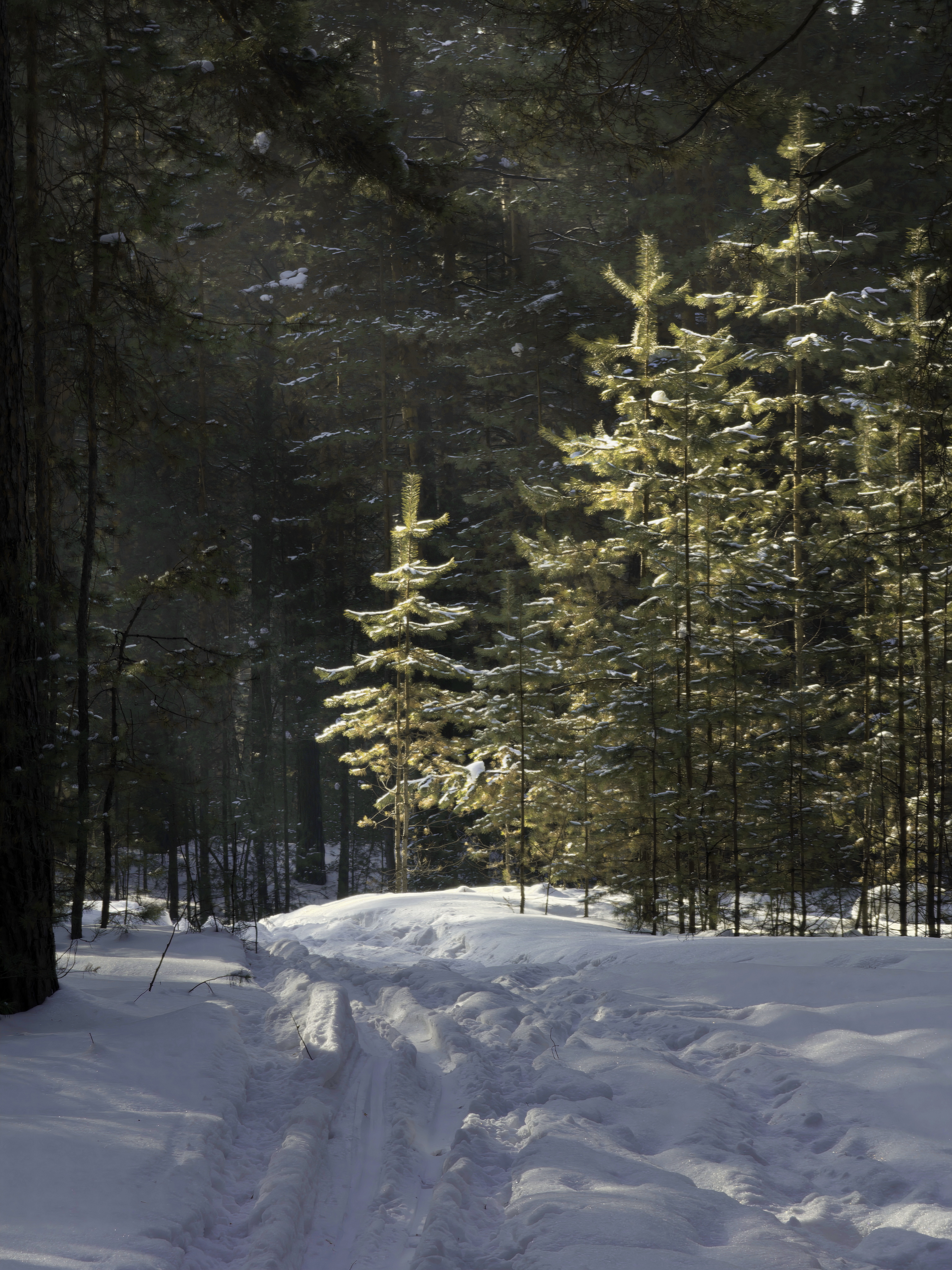 , Кузнецов Дмитрий