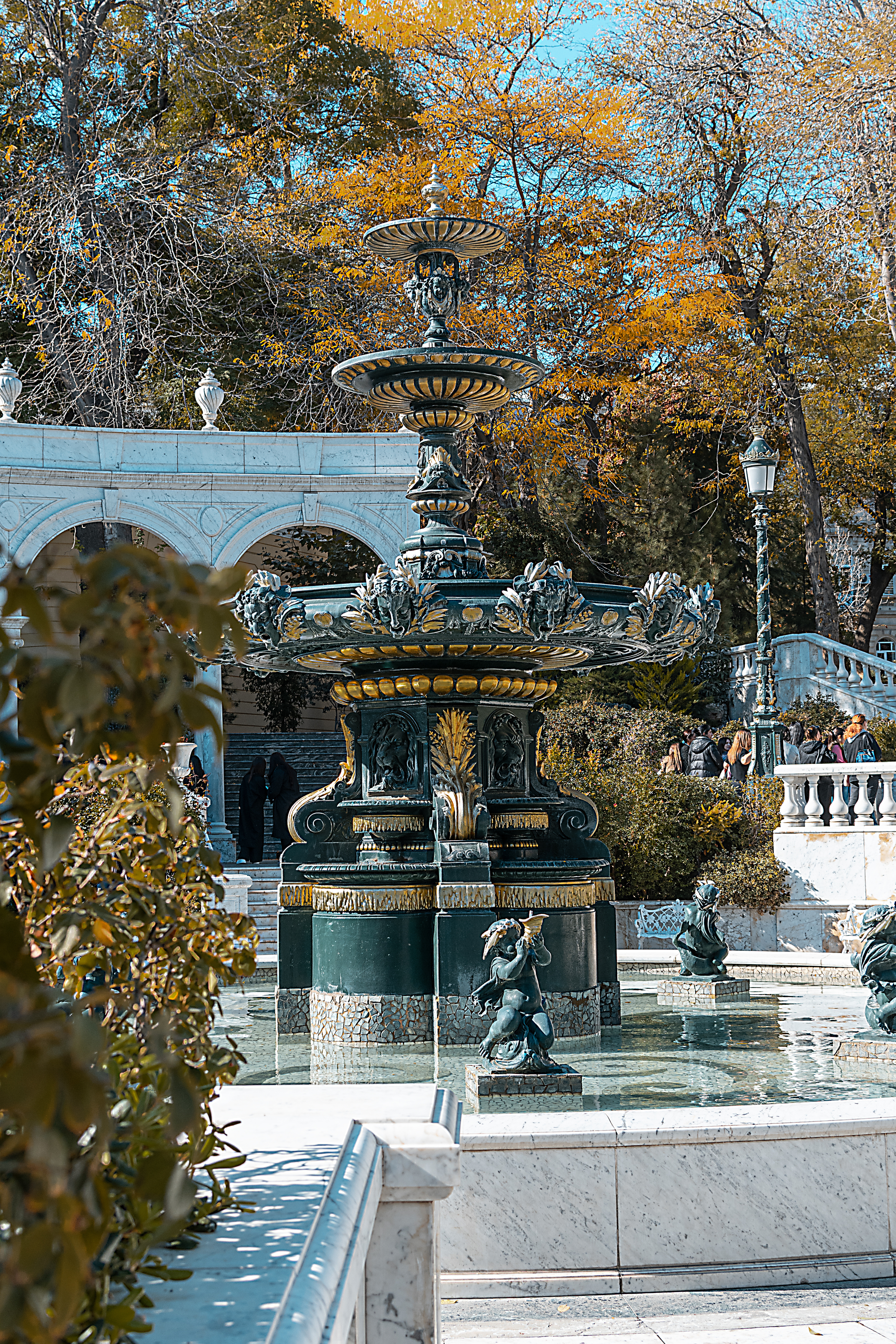 , Багриновская Наталия