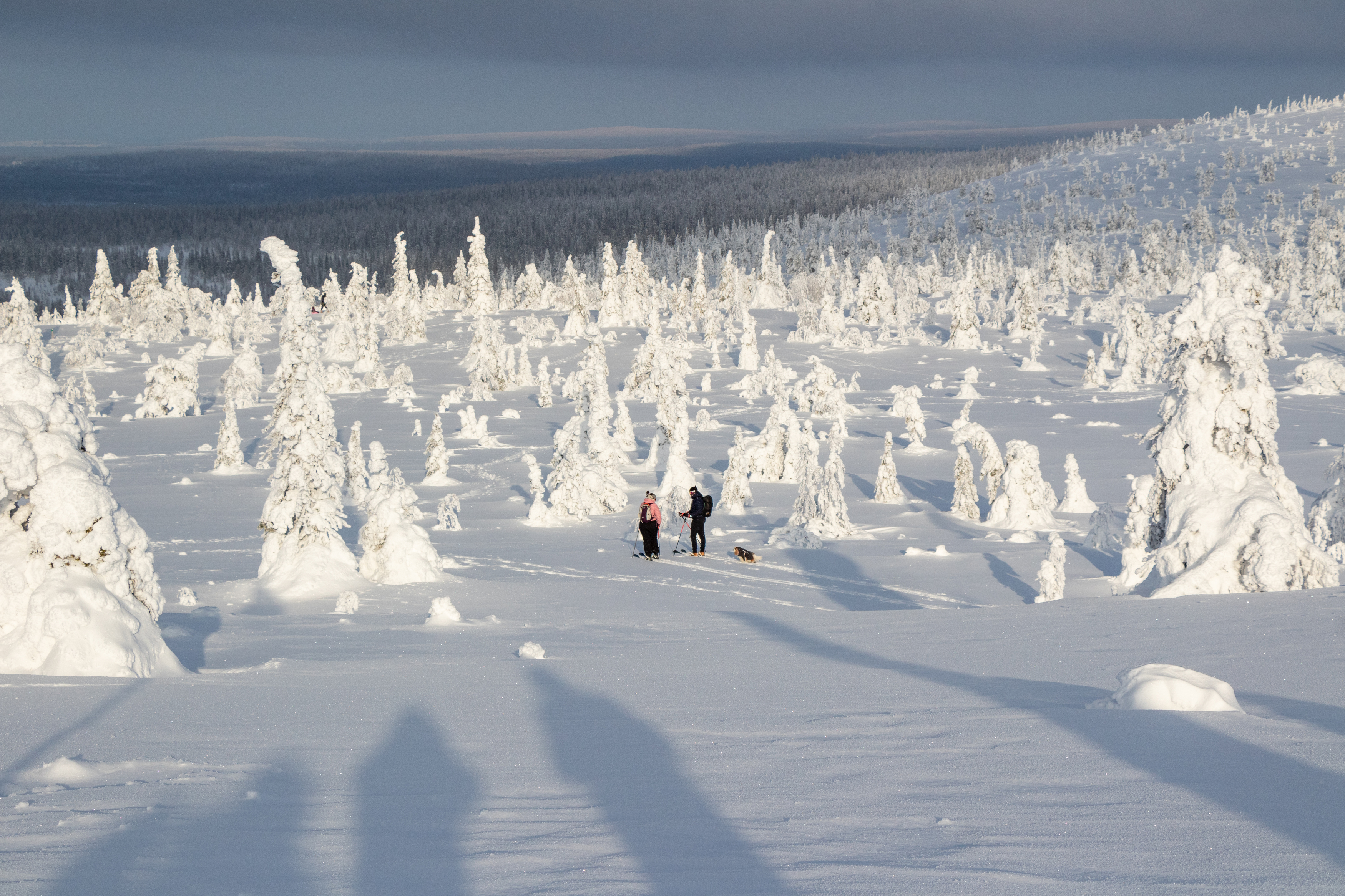 , Вадим Городницкий
