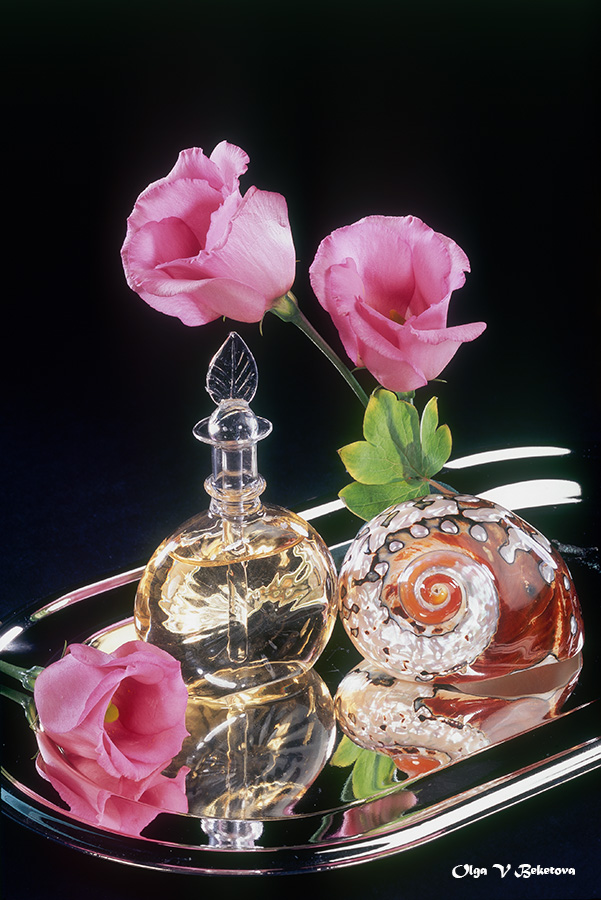 духи, цветы, ракушка, Бекетова Ольга