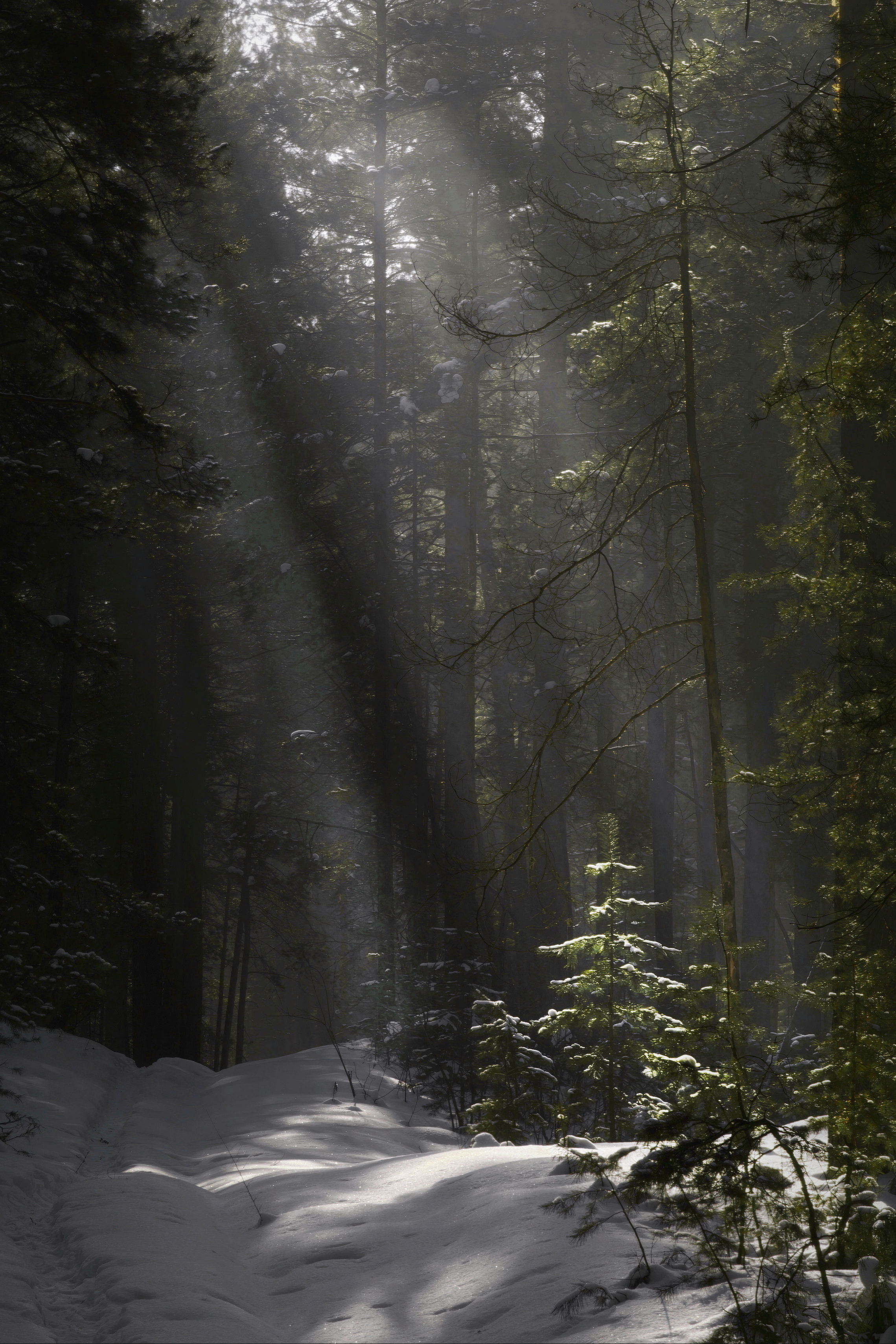 , Кузнецов Дмитрий