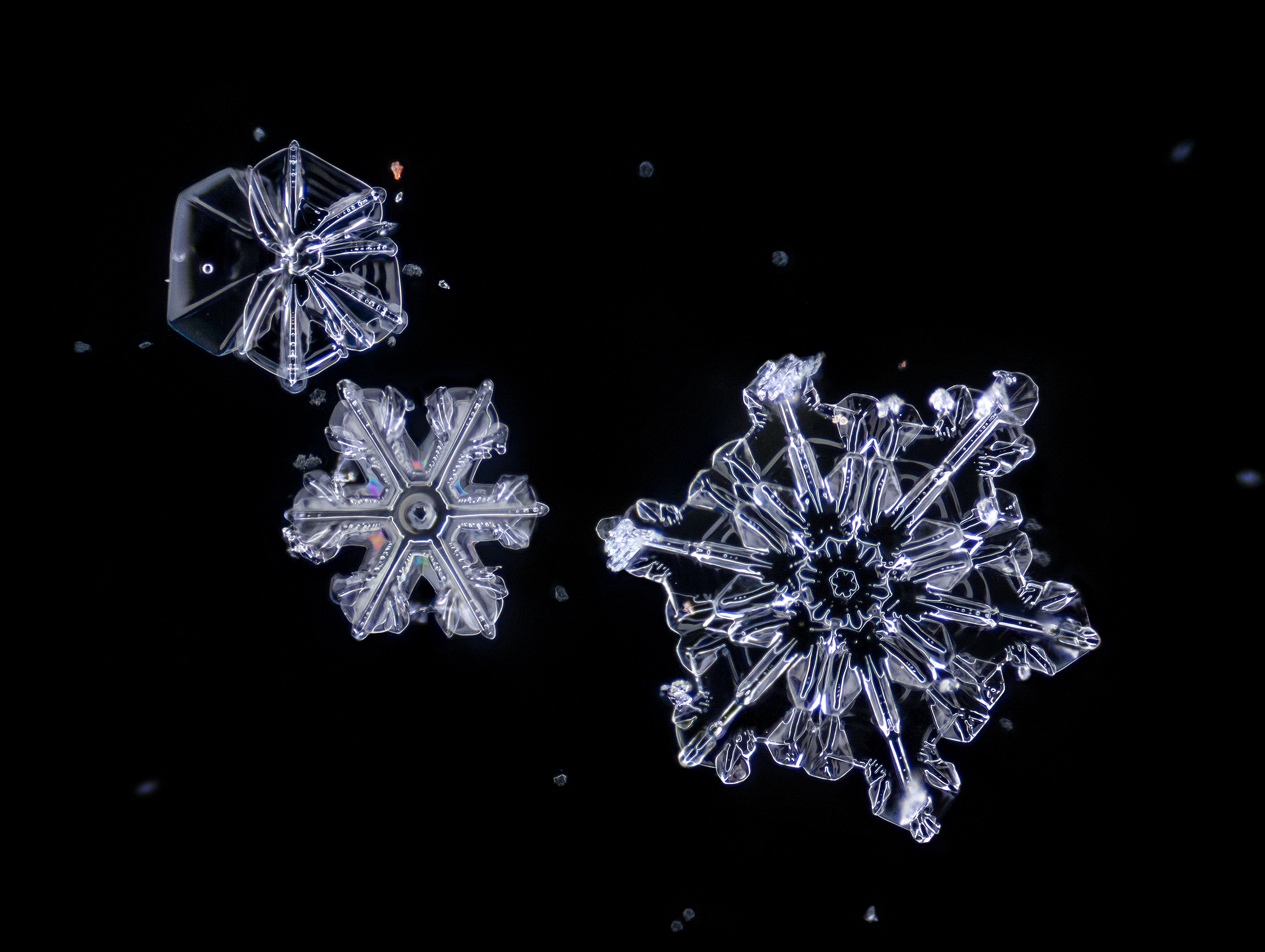 снежинка, зима, макро, микро, Mashin Rostislav